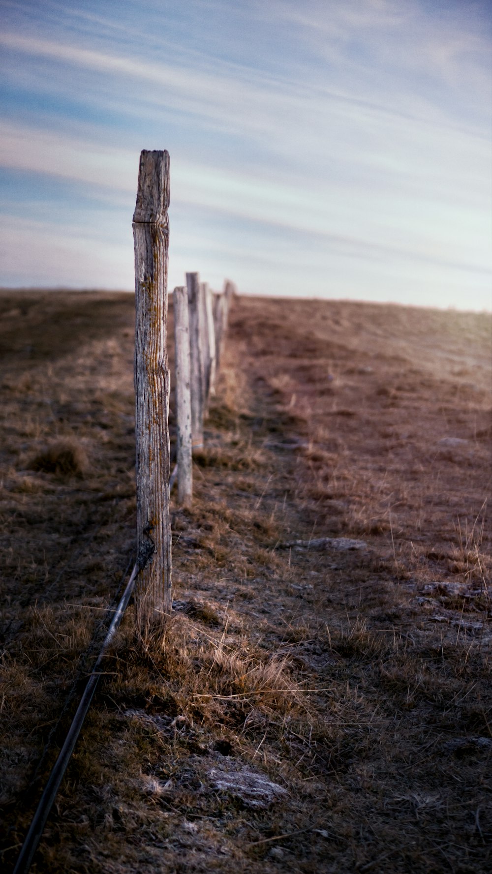 brown wooden fence on brown grass field during daytime
