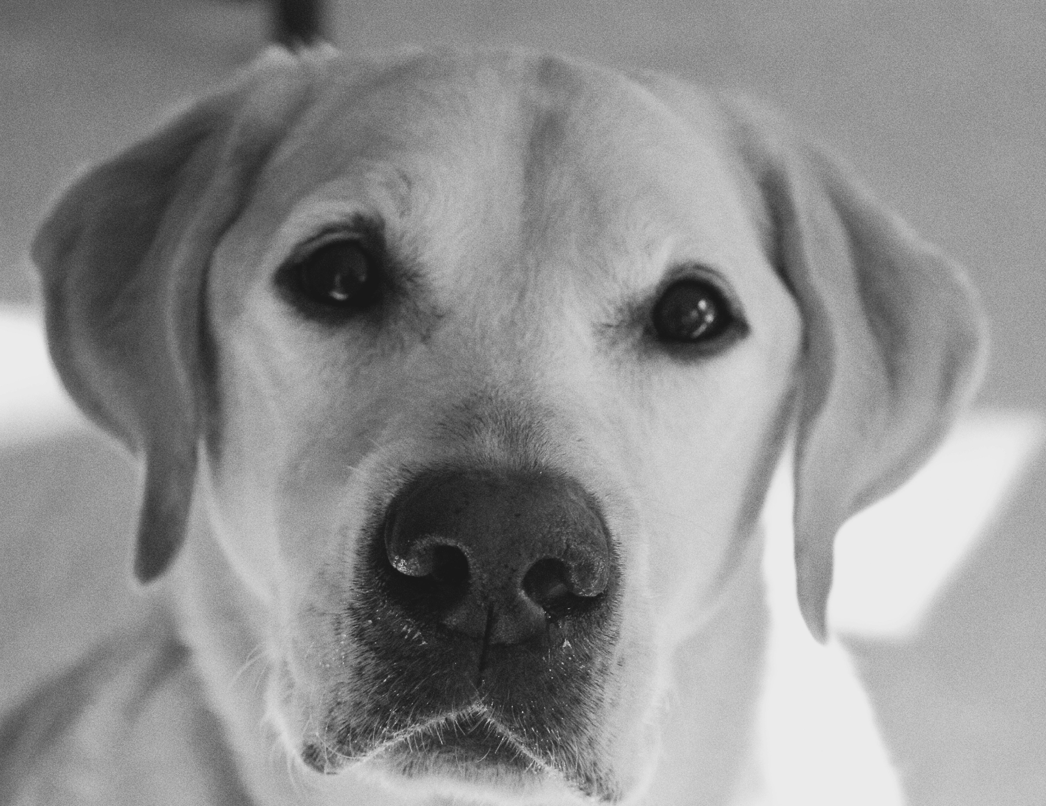 Free Unsplash photo from Caroline Aldridge