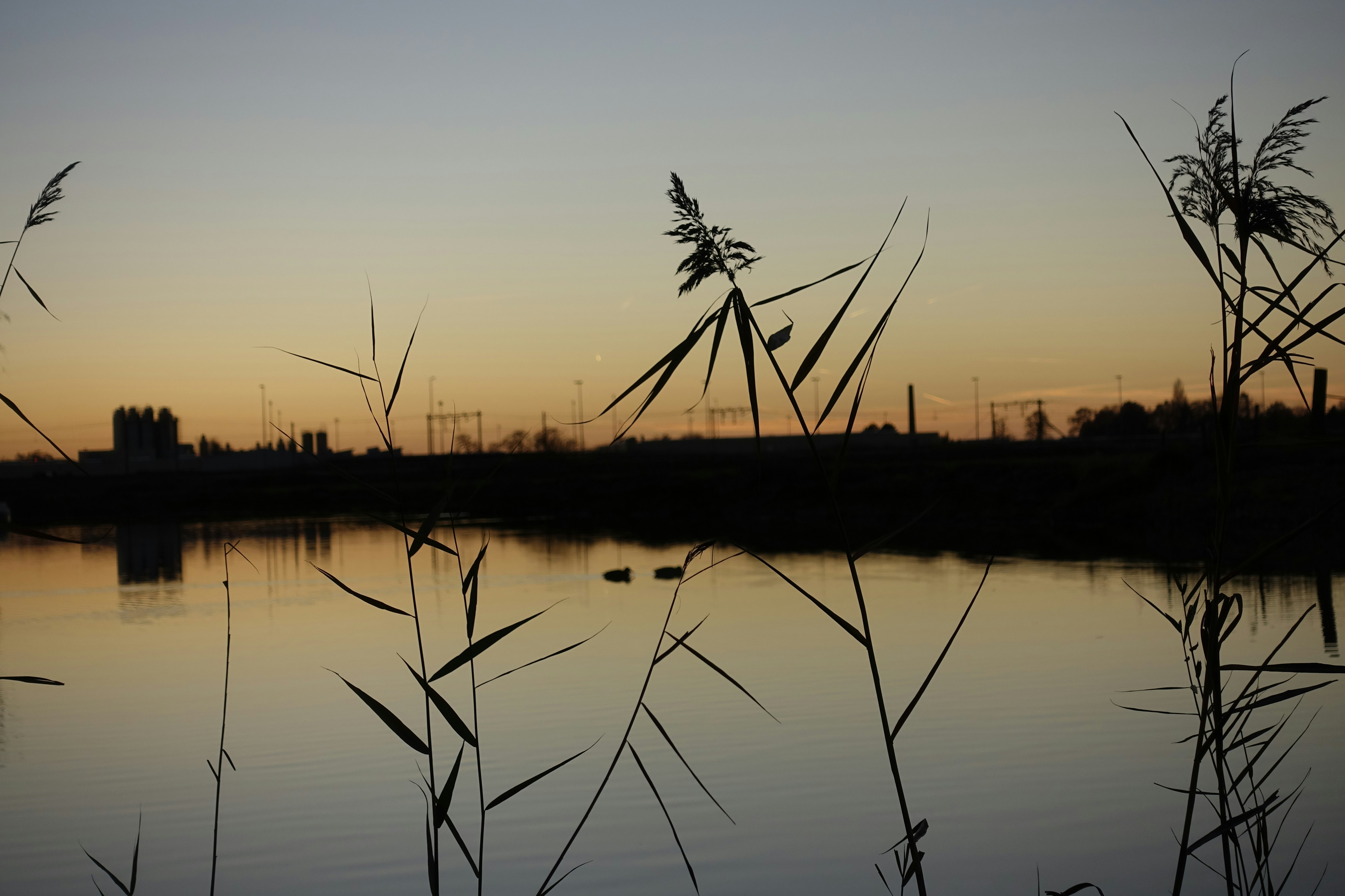 Free Unsplash photo from Jorn Kok