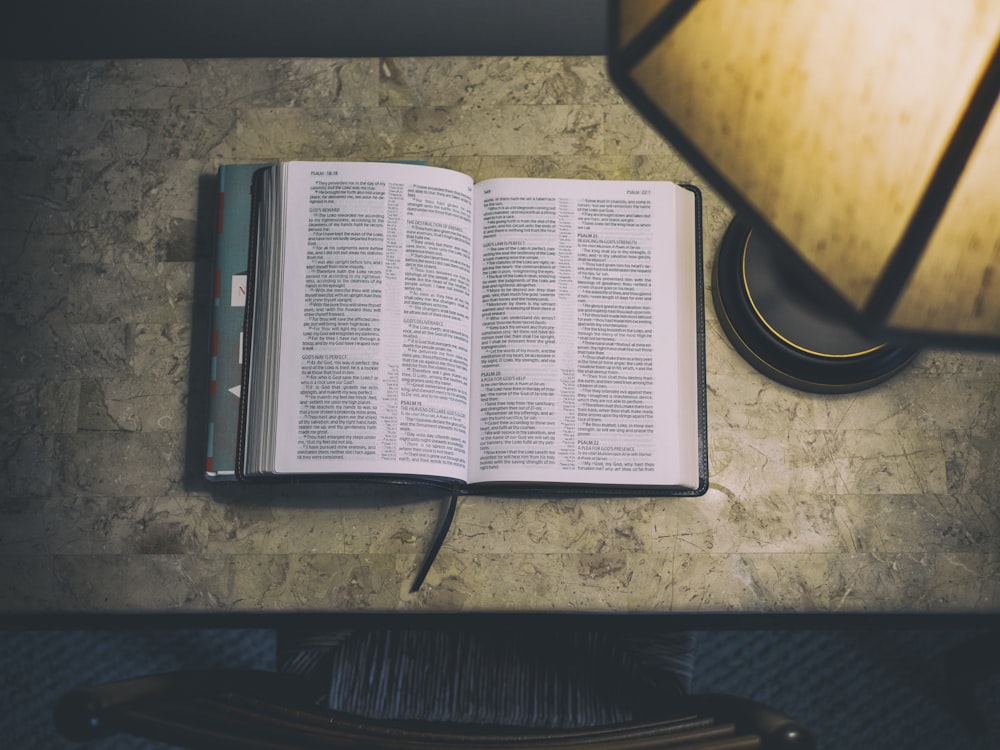 open white and blue book beside table lamp