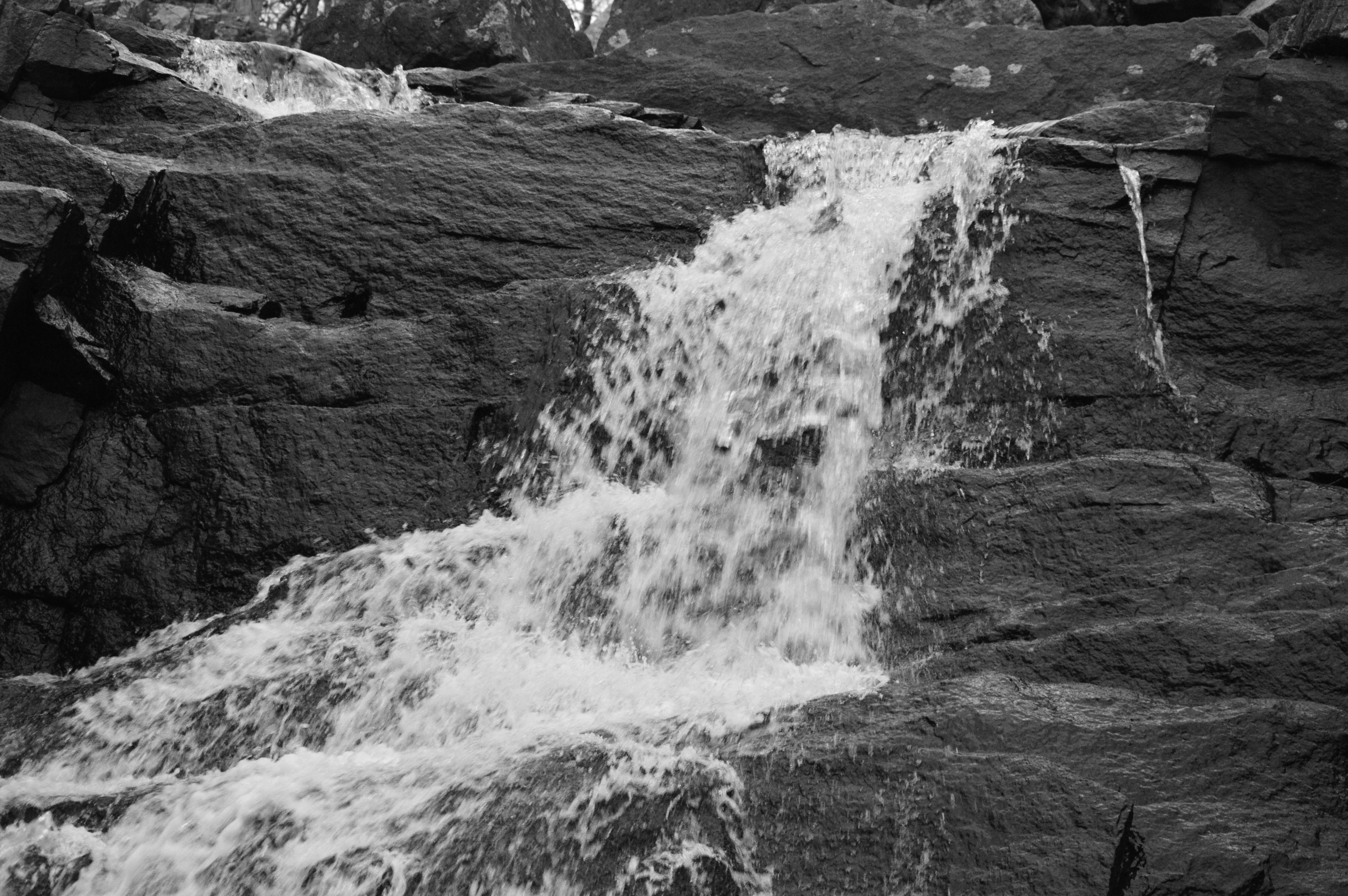 Free Unsplash photo from Angie Colacchia