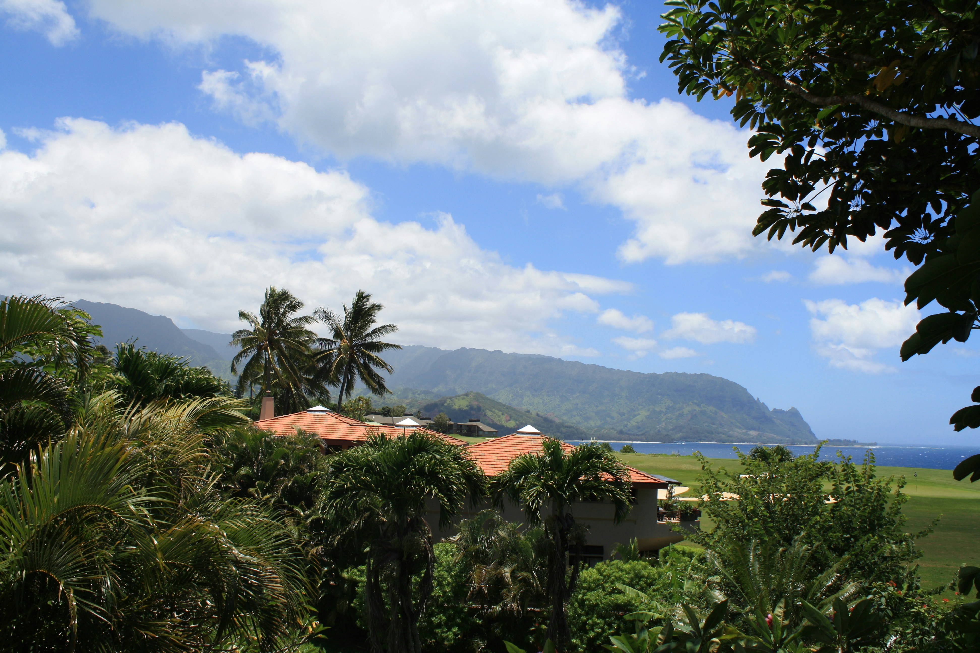 Free Unsplash photo from Blaine Grey