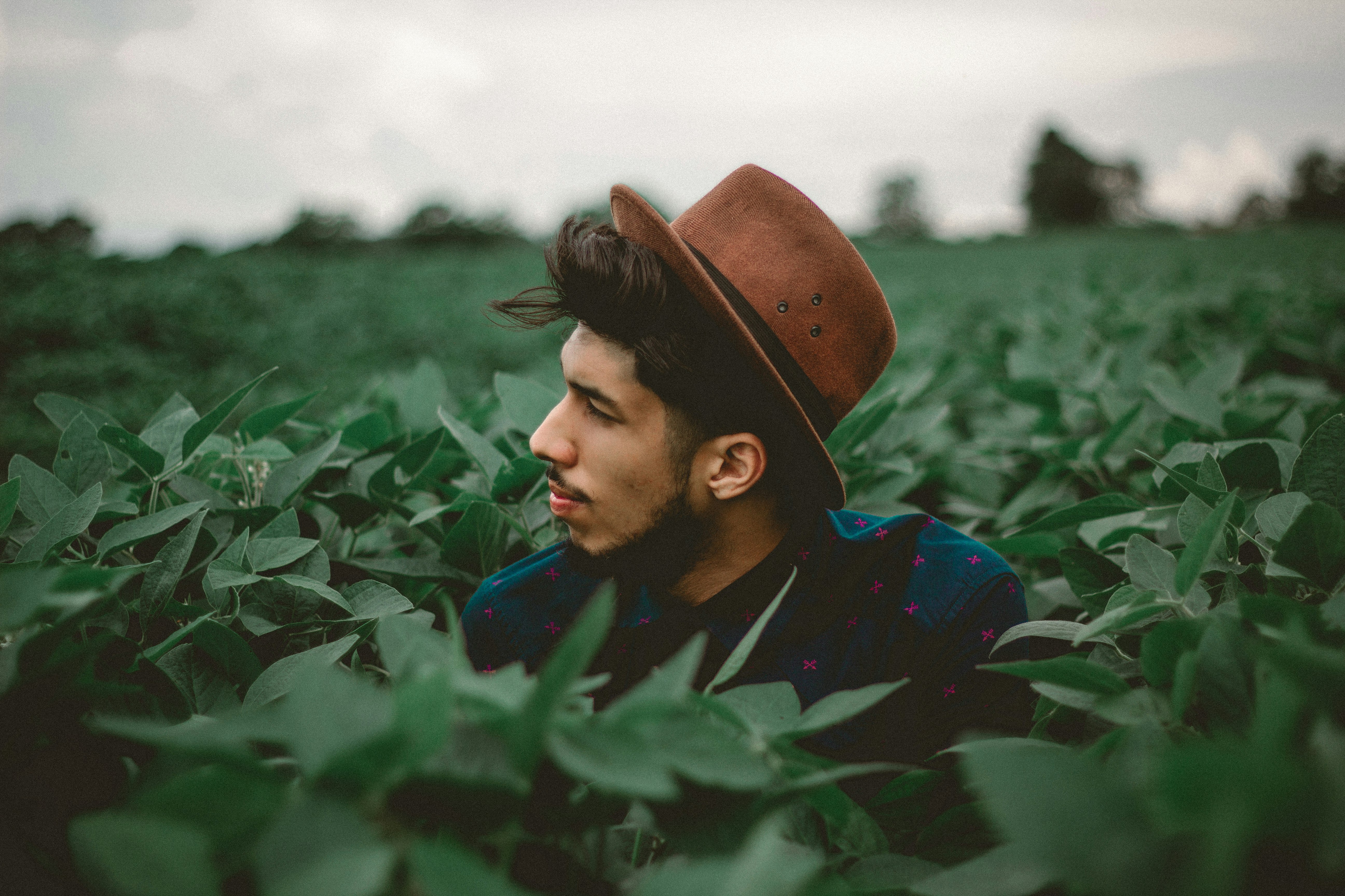 man surrounded by green leafed plant field in shallow focus photography