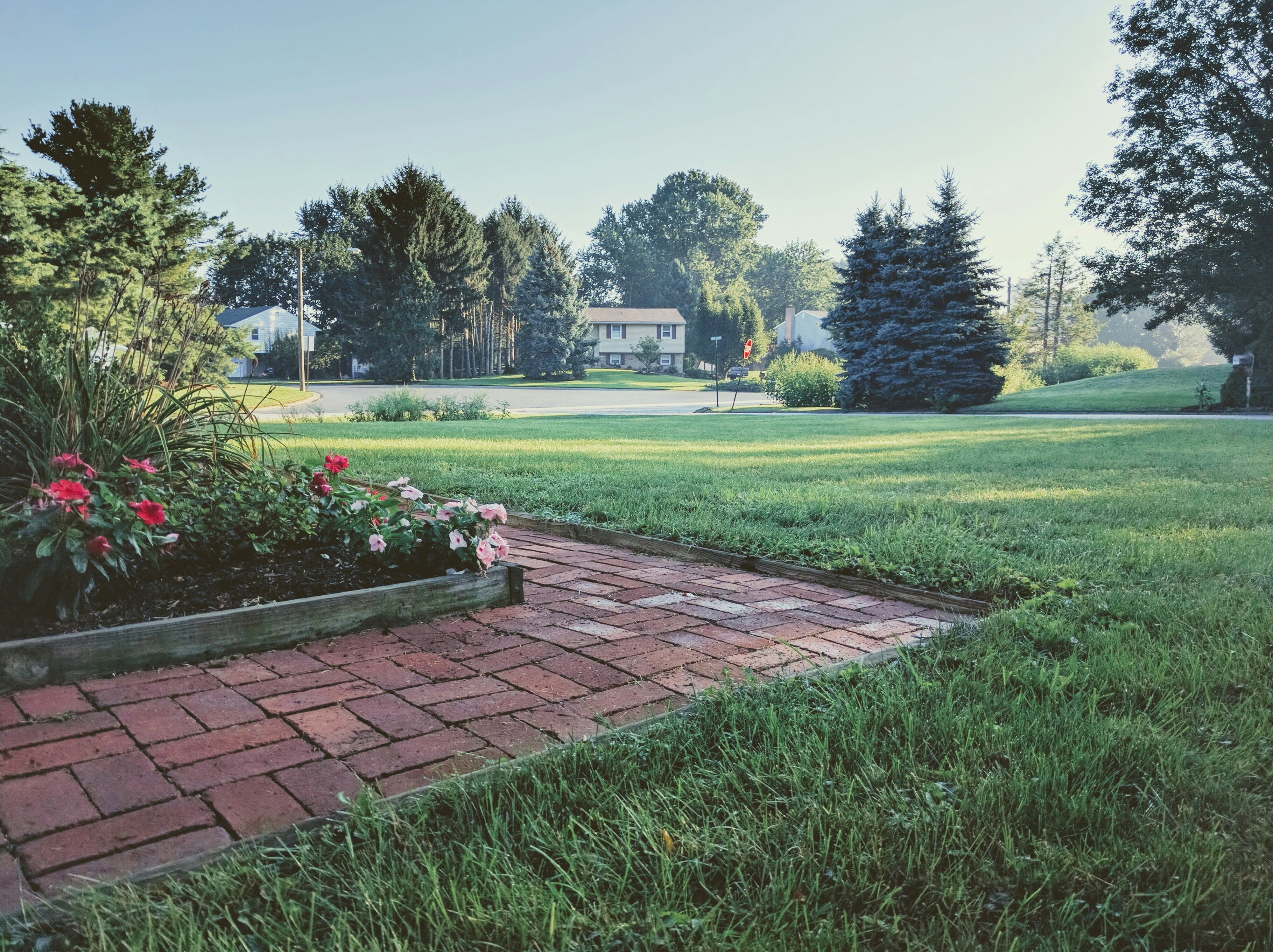 Free Unsplash photo from Peter Stevenson