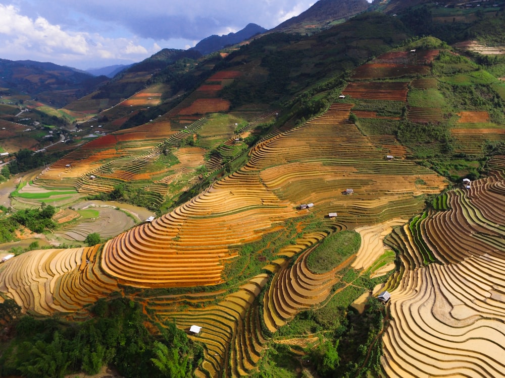 rice terraces during daytime