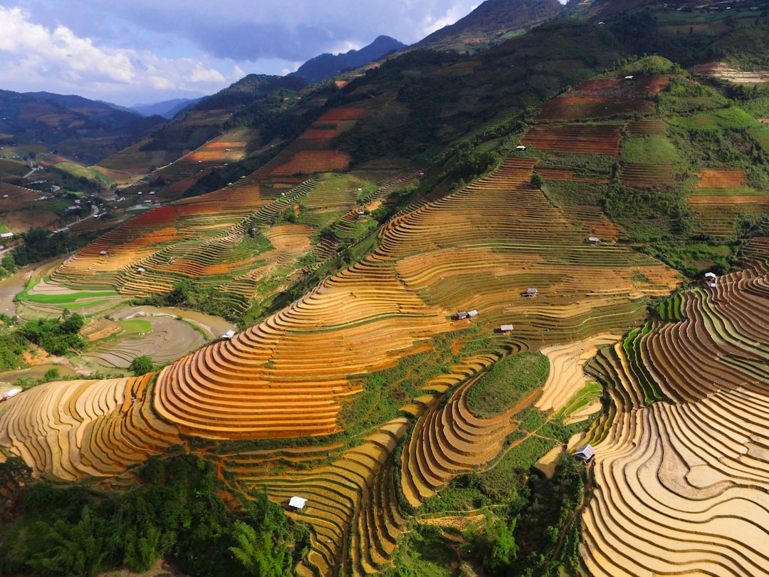 China's Countryside Calling: Trip.com Reports Surge in Domestic Tra… — China's Countryside Calling, photo 3