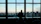 A focused woman reviewing documents with a city skyline visible through large office windows.
