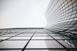 Scaling small businesses for market success