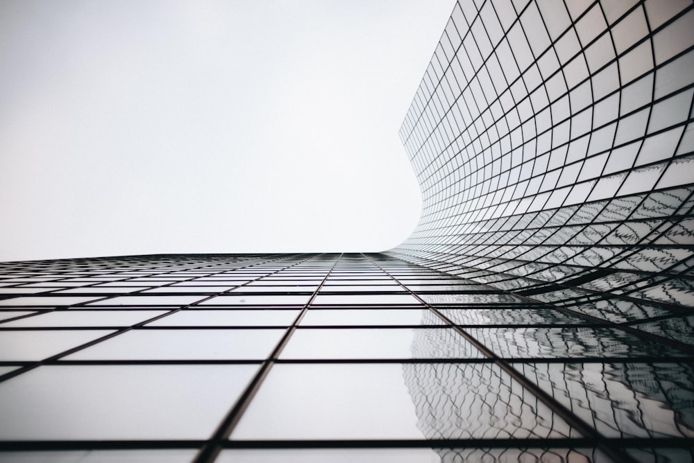 architectural photograph of building curtain wall