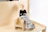 A fashion doll with blonde hair and a tiara is seated on a small wooden chair. She is dressed in a stylish gown with a black top and white skirt featuring intricate black patterns. The setting is minimalistic, with a light wooden background.