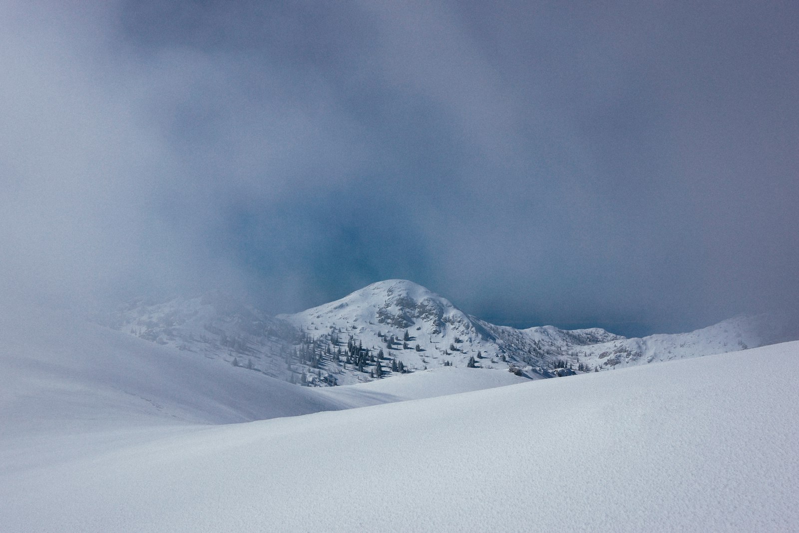 Sony Alpha NEX-7 + Sigma 19mm F2.8 EX DN sample photo. Landscape photo of snow photography