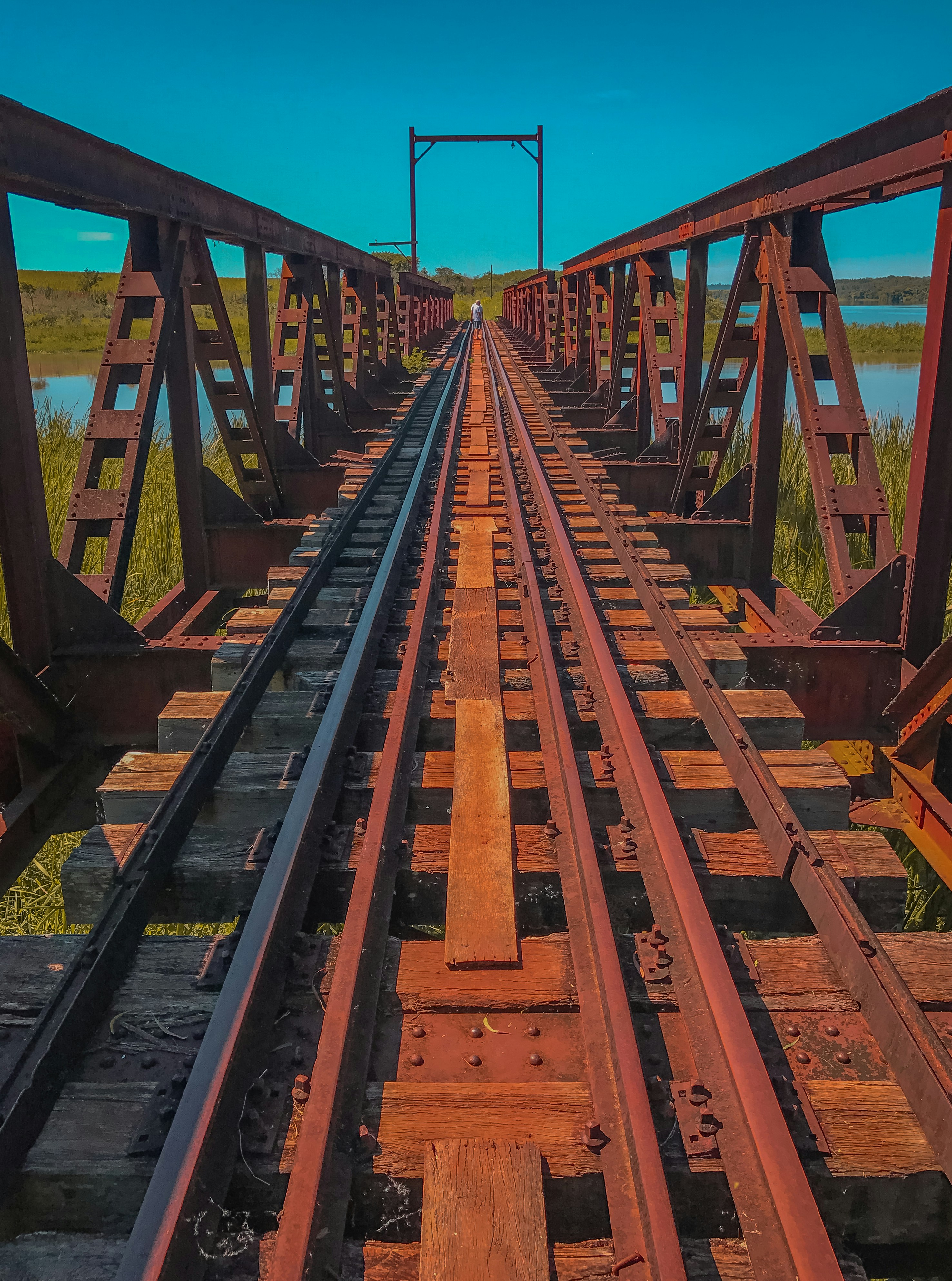 Free Unsplash photo from Orlando Marconi