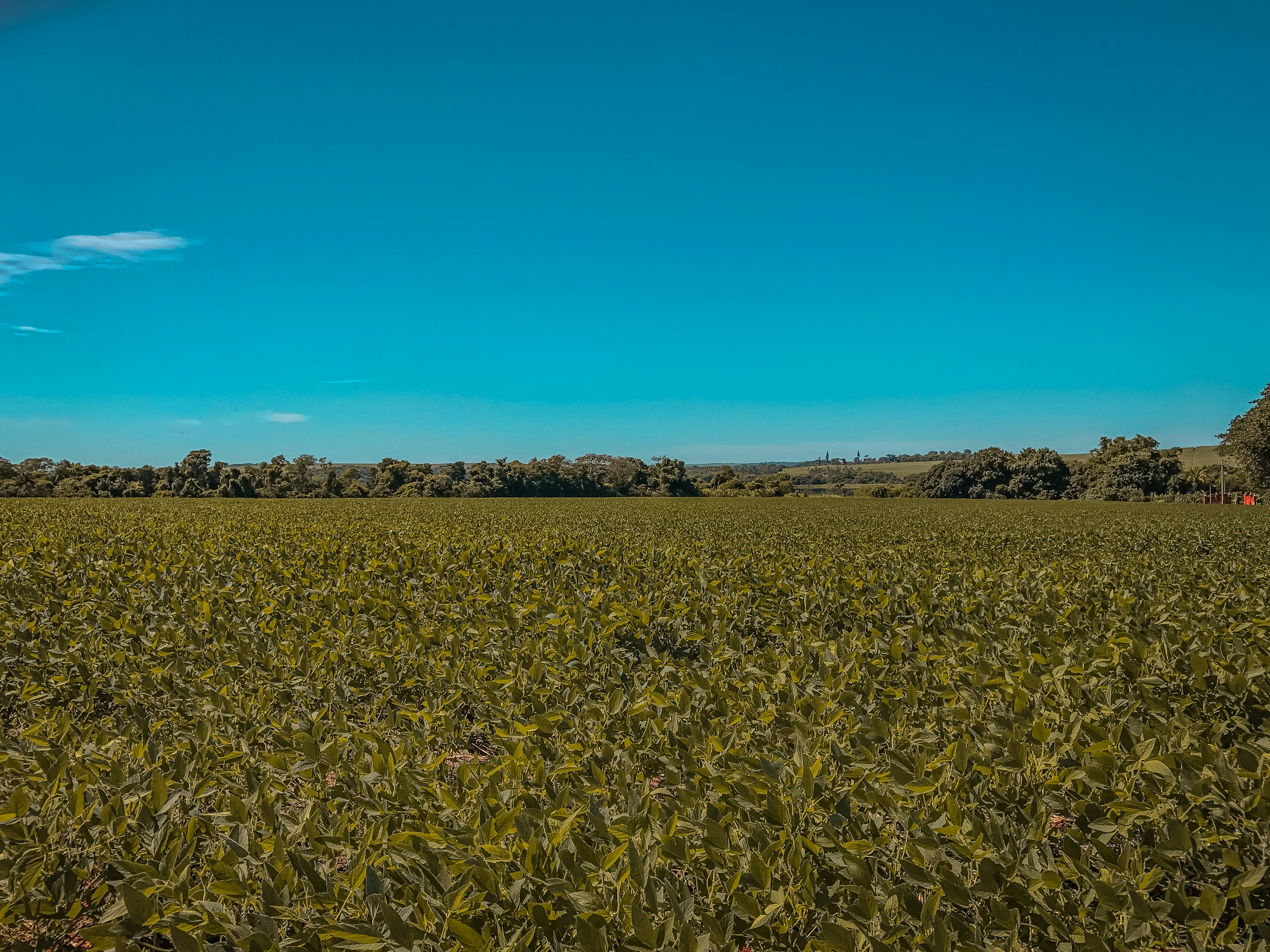 Free Unsplash photo from Orlando Marconi