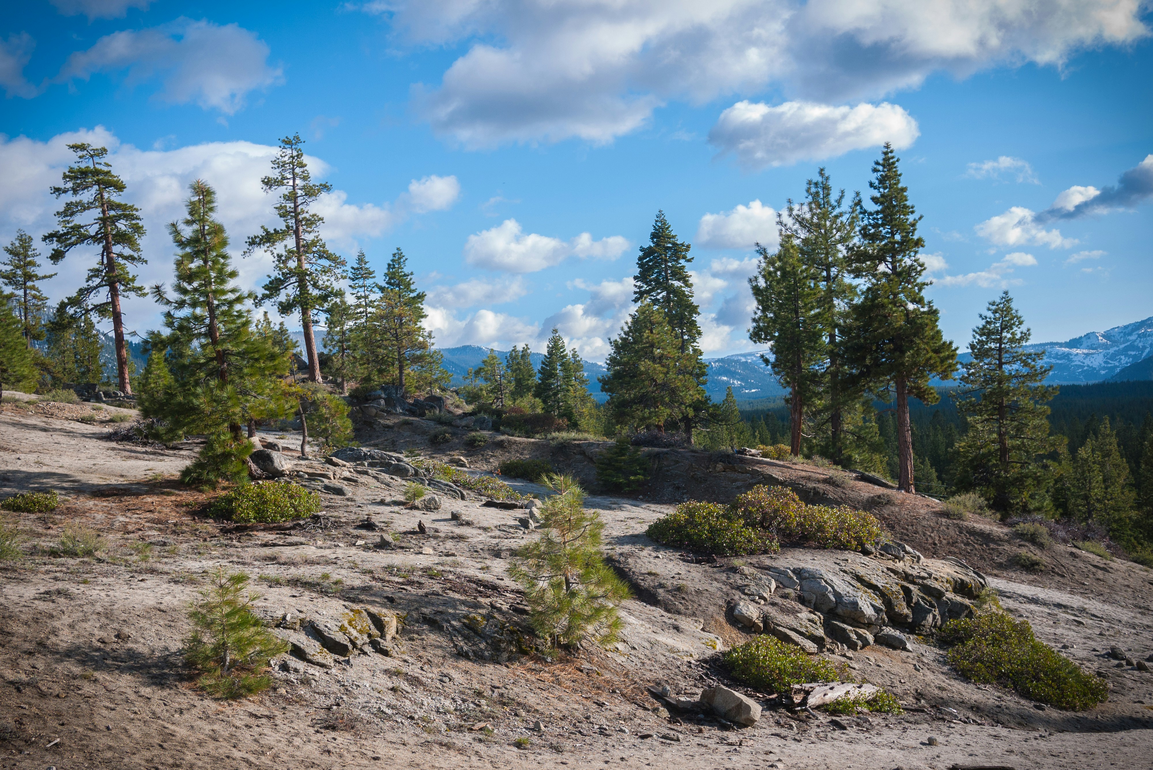 Free Unsplash photo from Nicolas Prieto