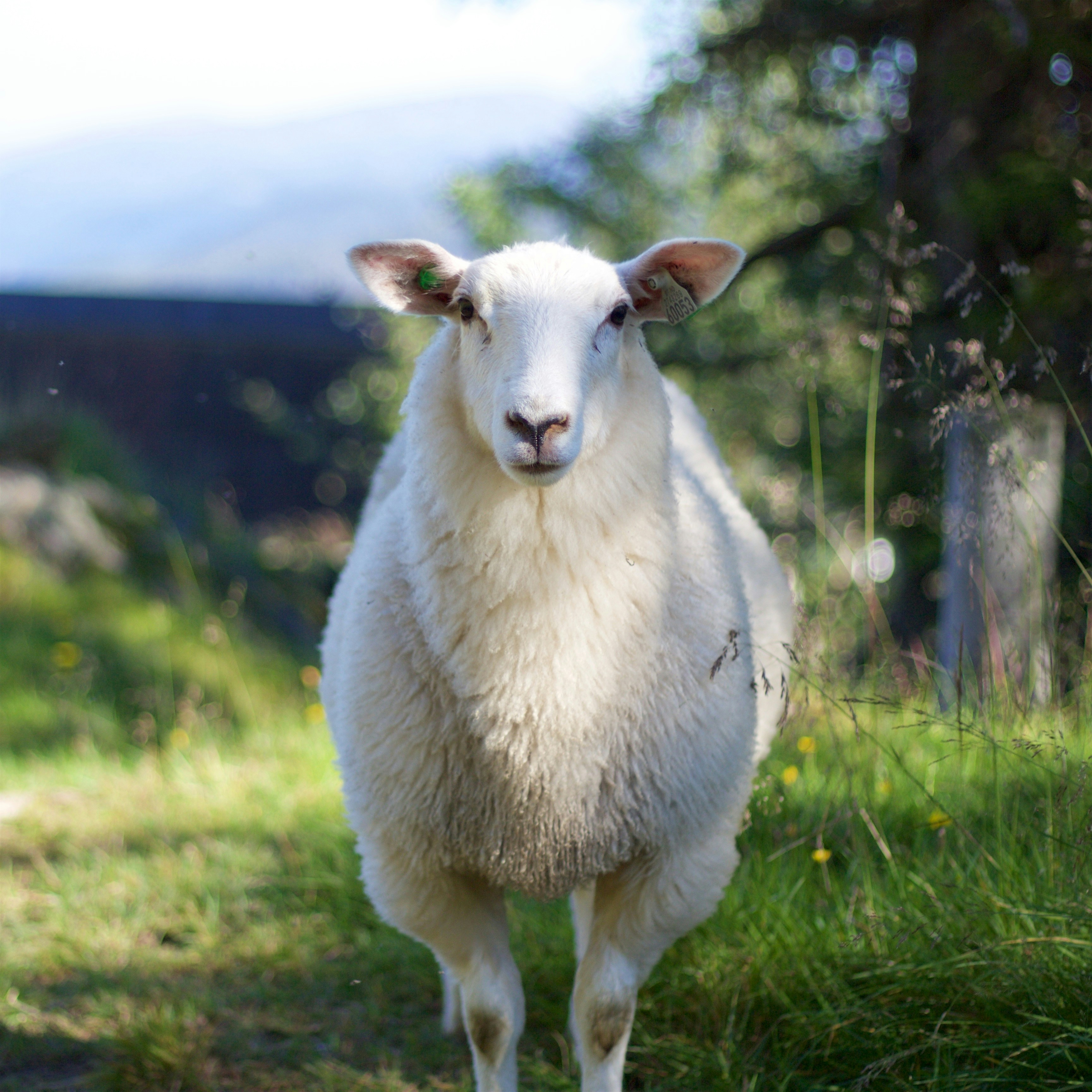 Free Unsplash photo from Matt Terwilliger