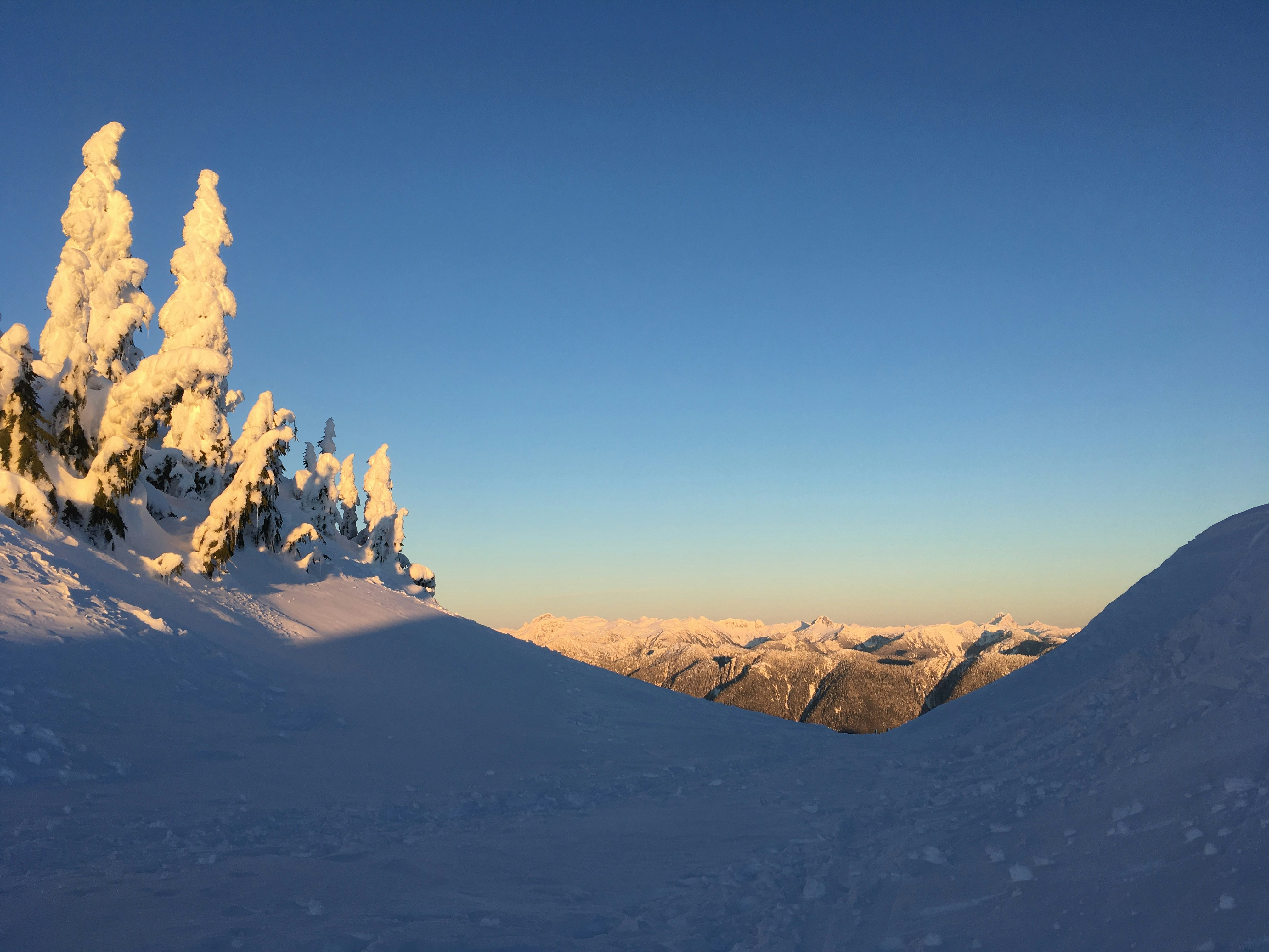 Free Unsplash photo from Modestas Šlaustas