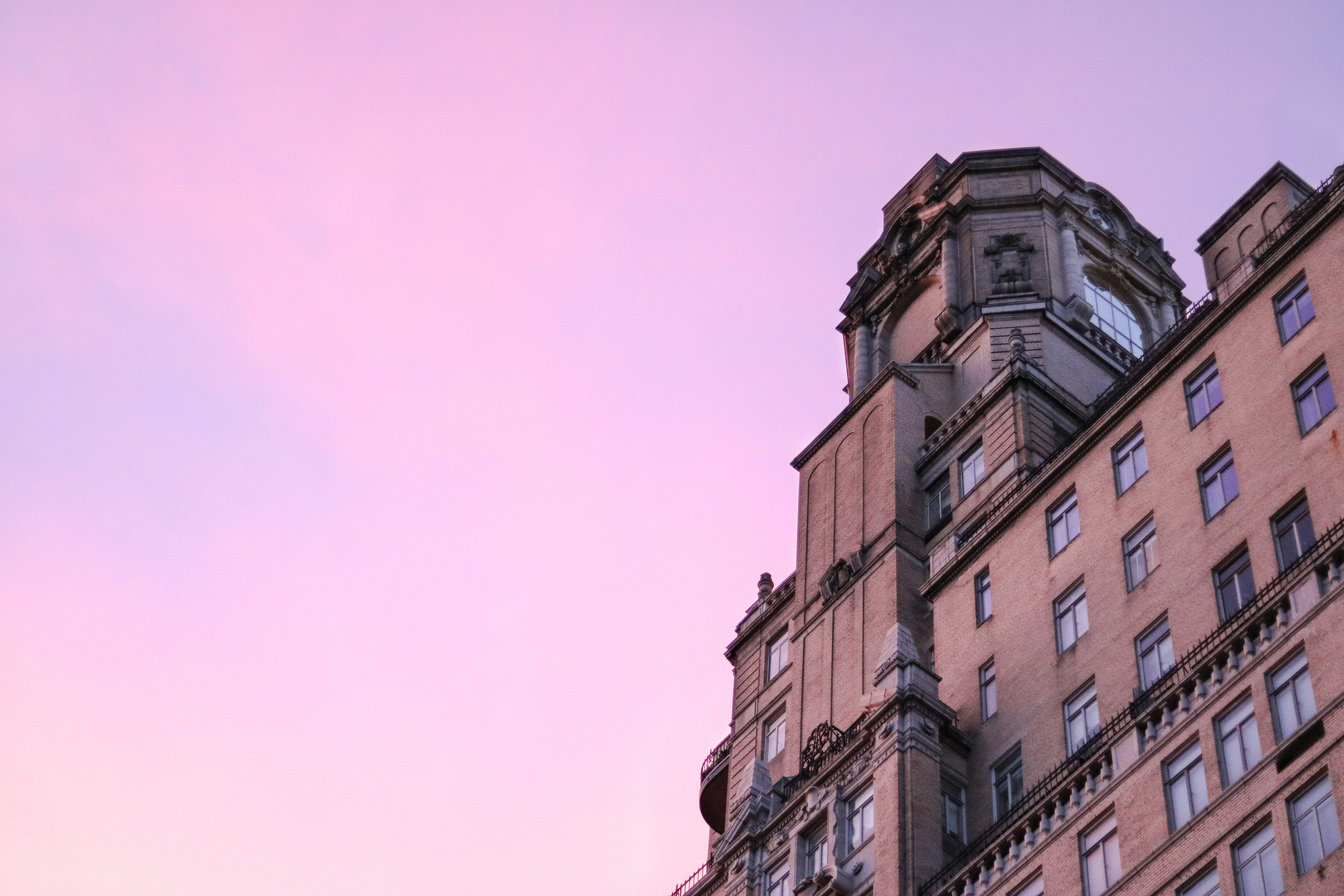 Free Unsplash photo from Jota Renan