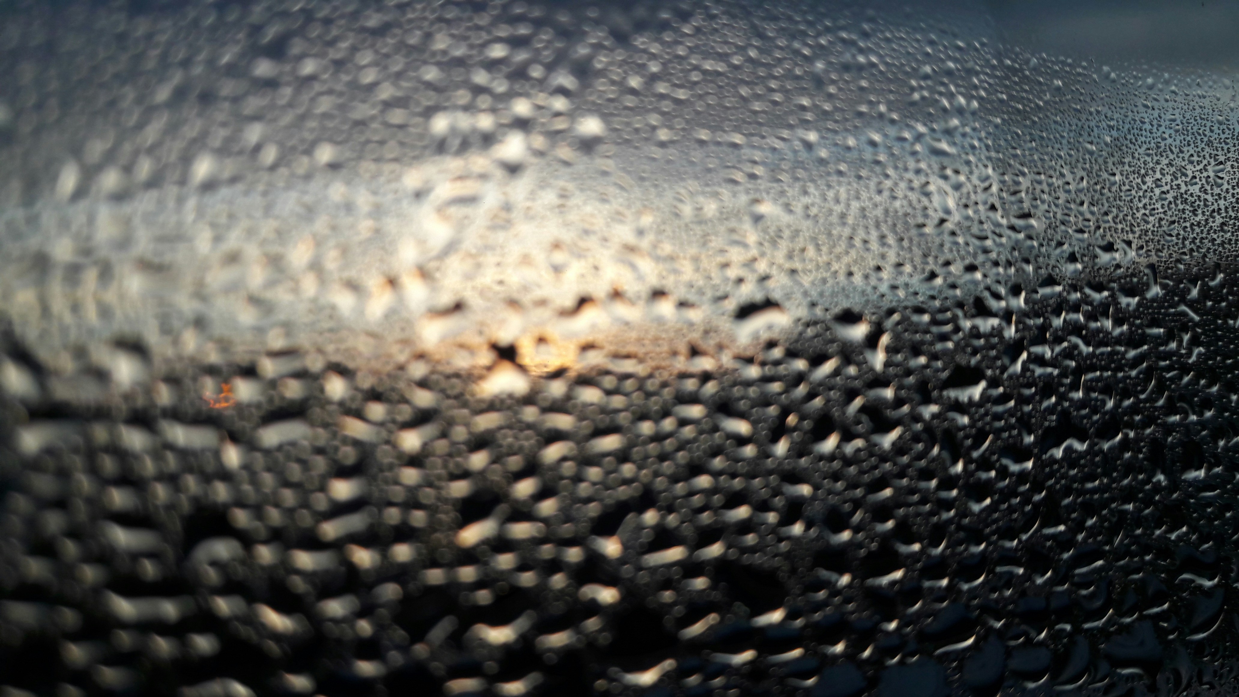 Free Unsplash photo from Toby  Roberts