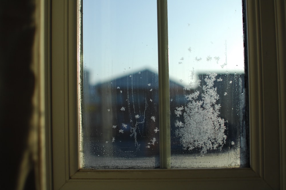 fotografia de foco raso da janela