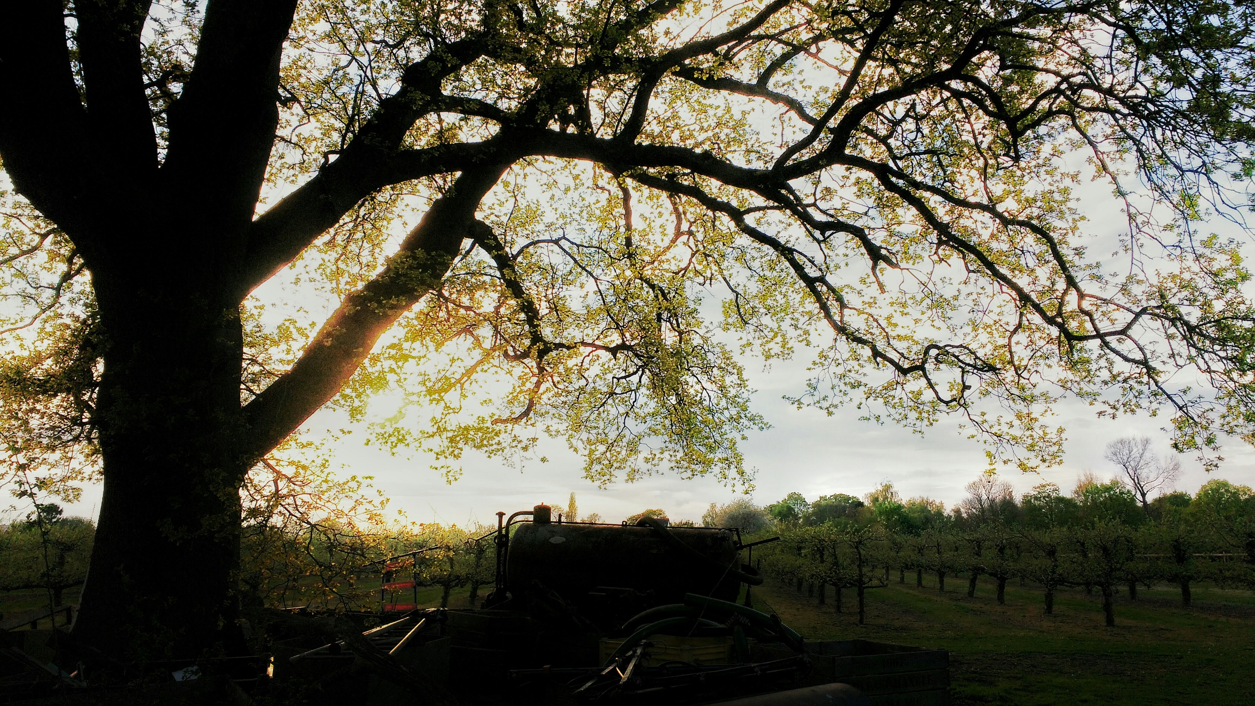 Free Unsplash photo from Hector Brown