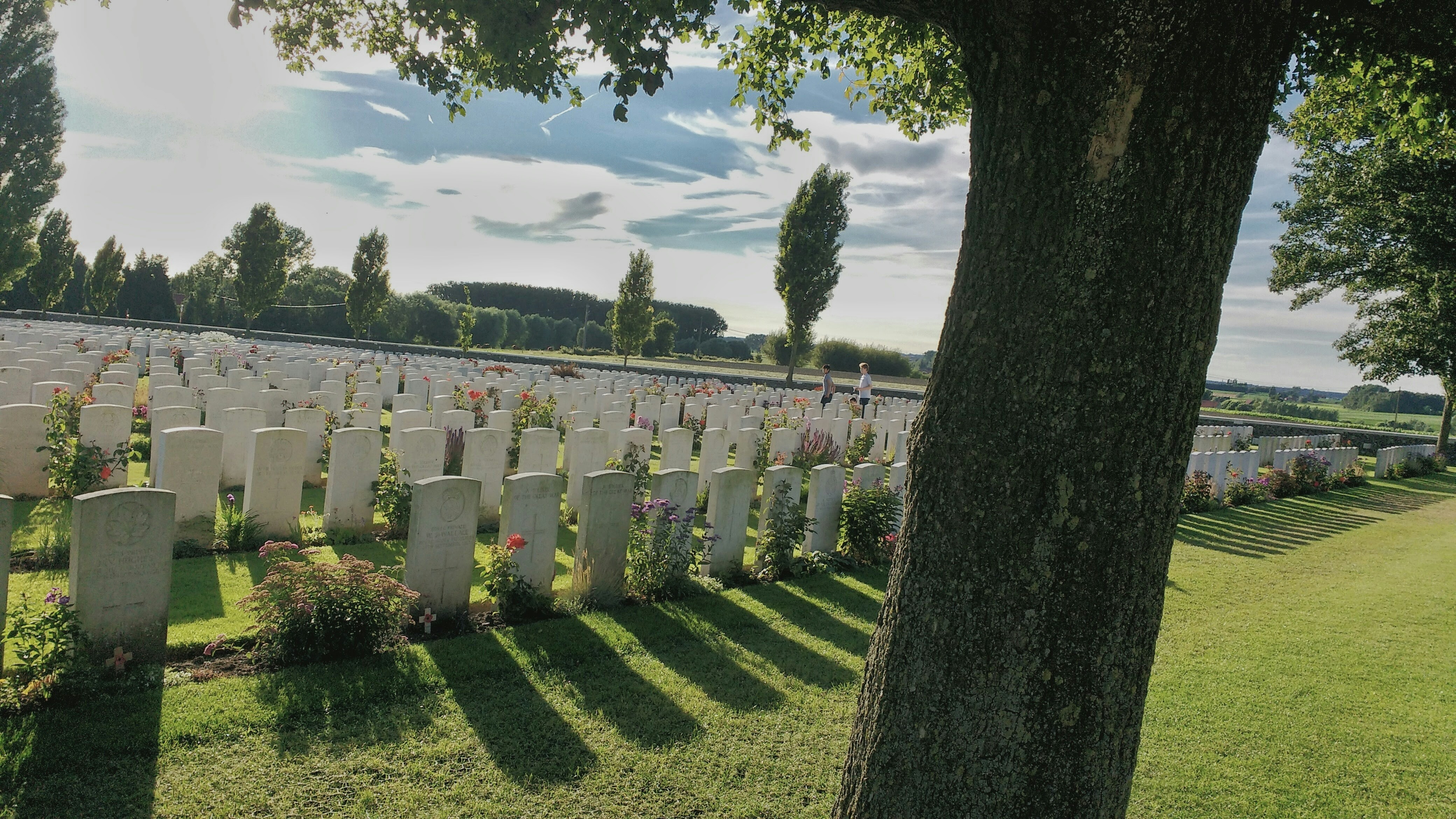 Free Unsplash photo from Hector Brown