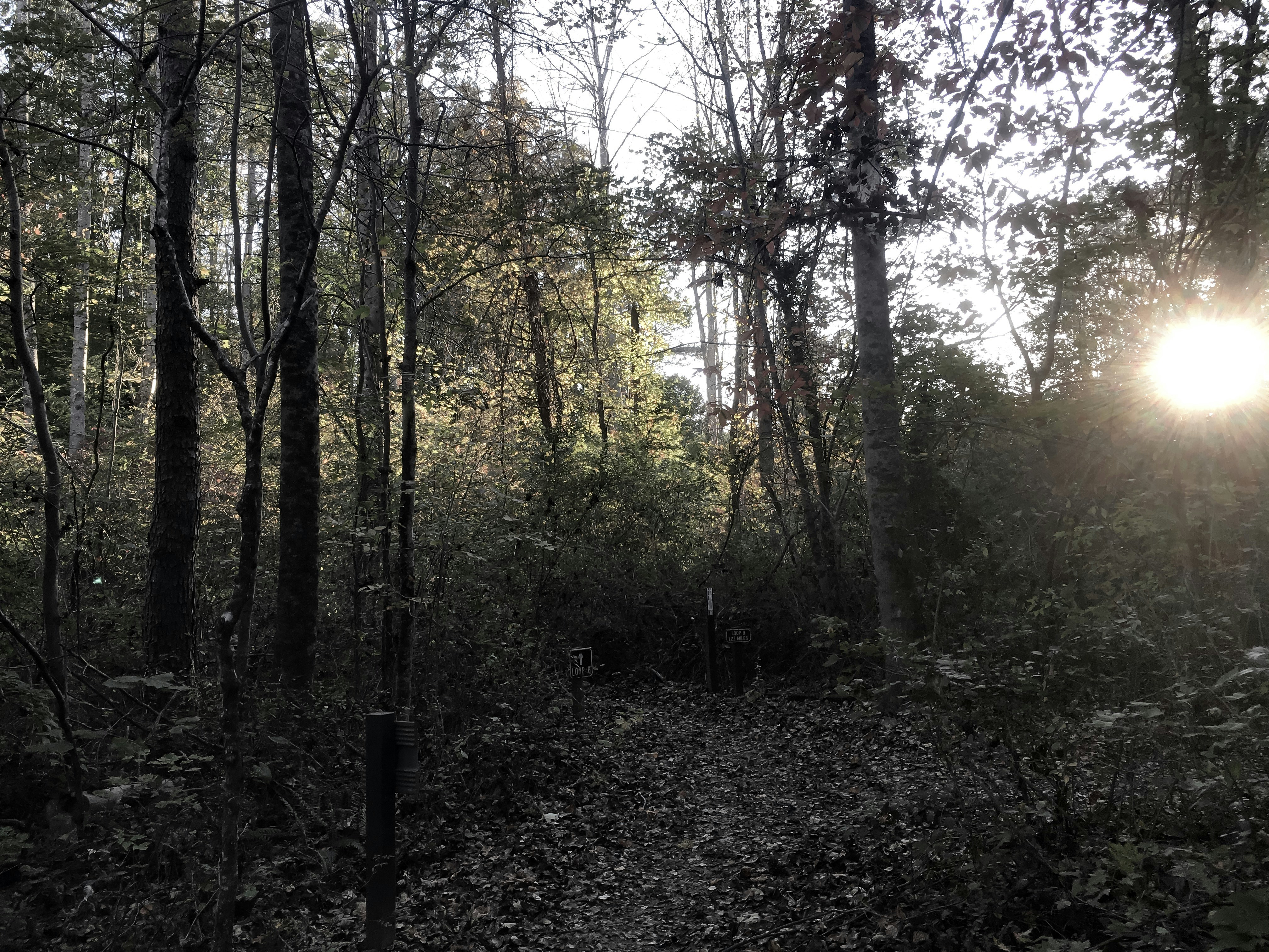 Free Unsplash photo from Emily King