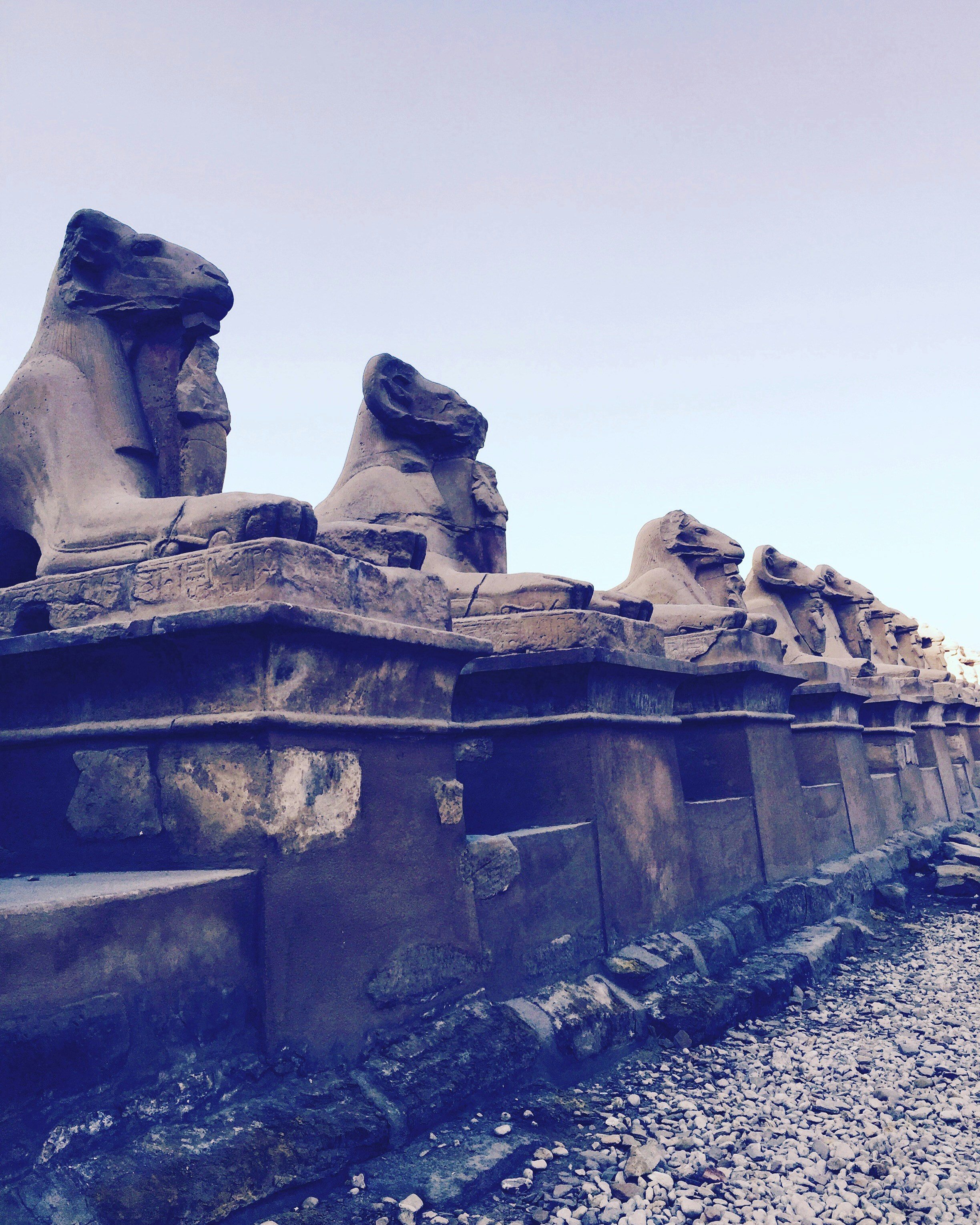 Free Unsplash photo from Mohamed Alawi