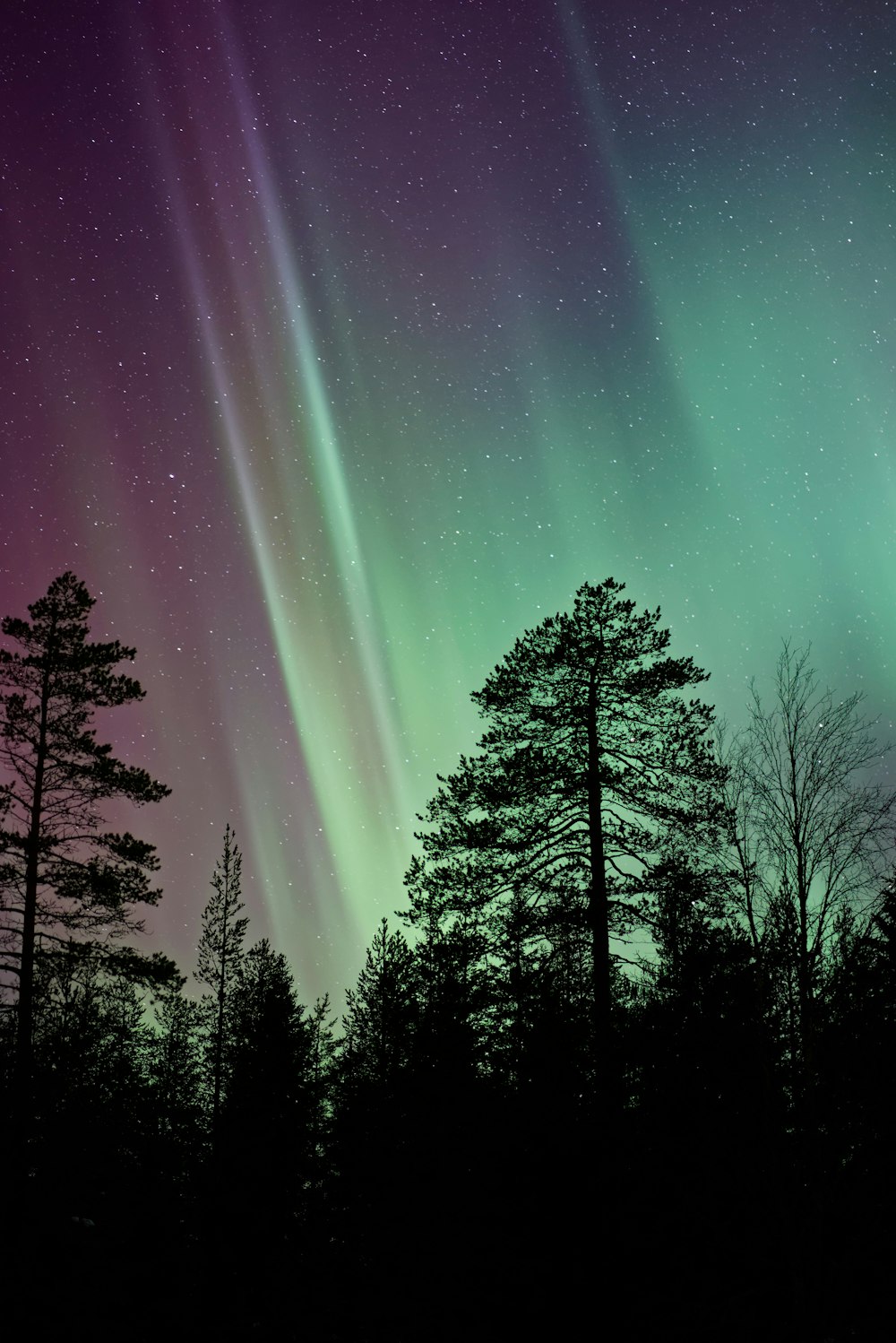 silhouette photo of aurora borealis