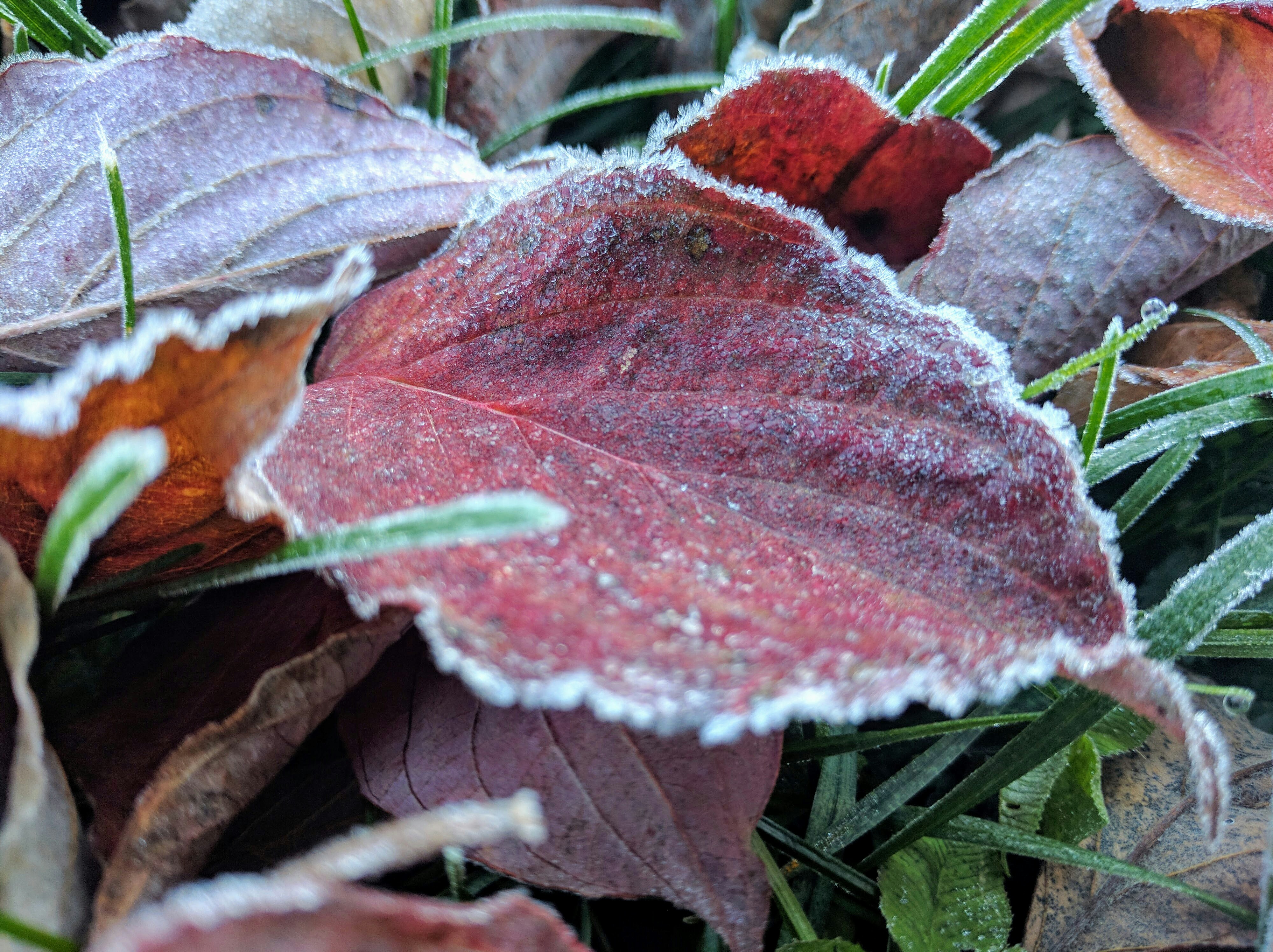 Free Unsplash photo from Peter Stevenson