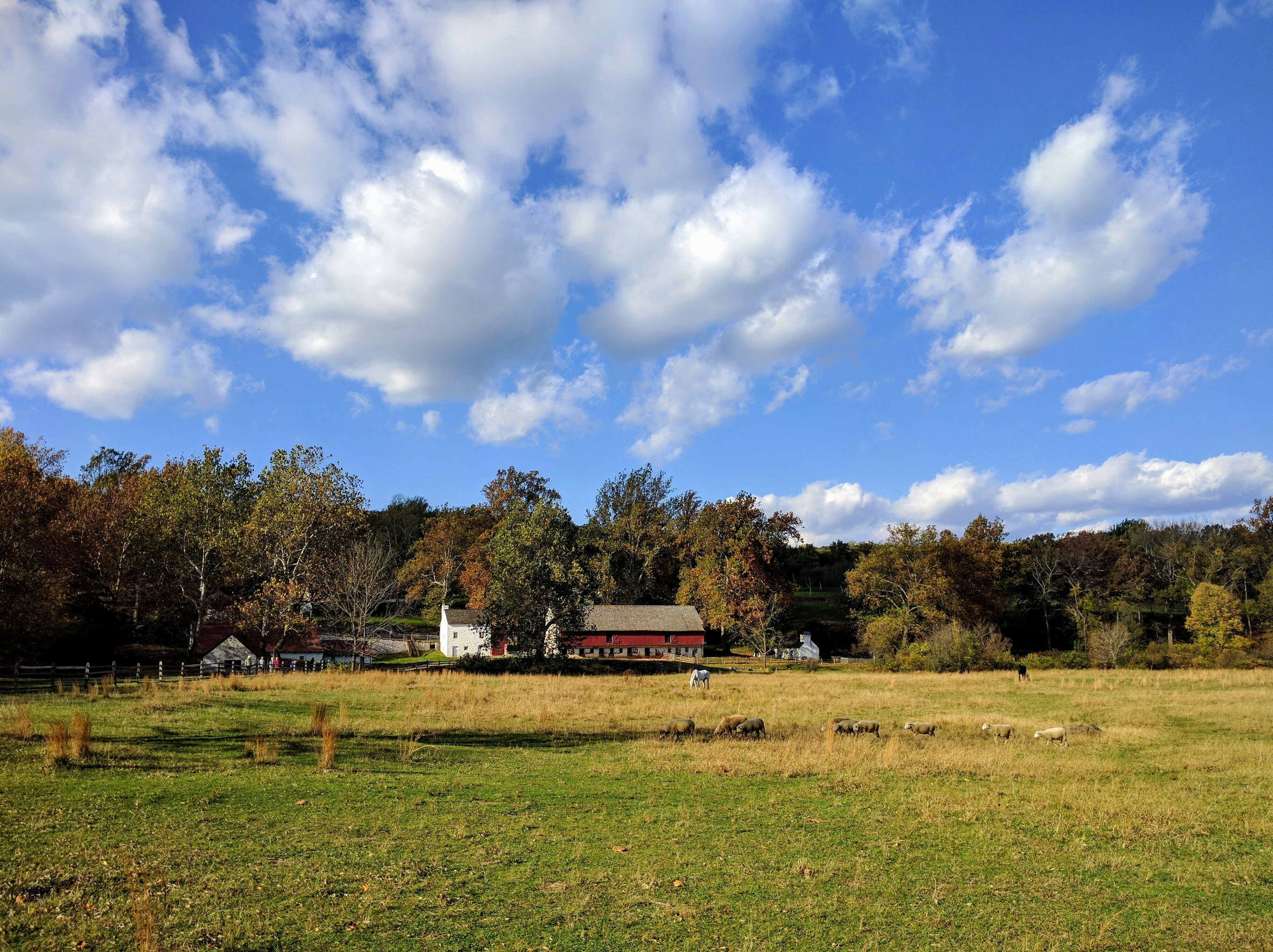 Free Unsplash photo from Peter Stevenson