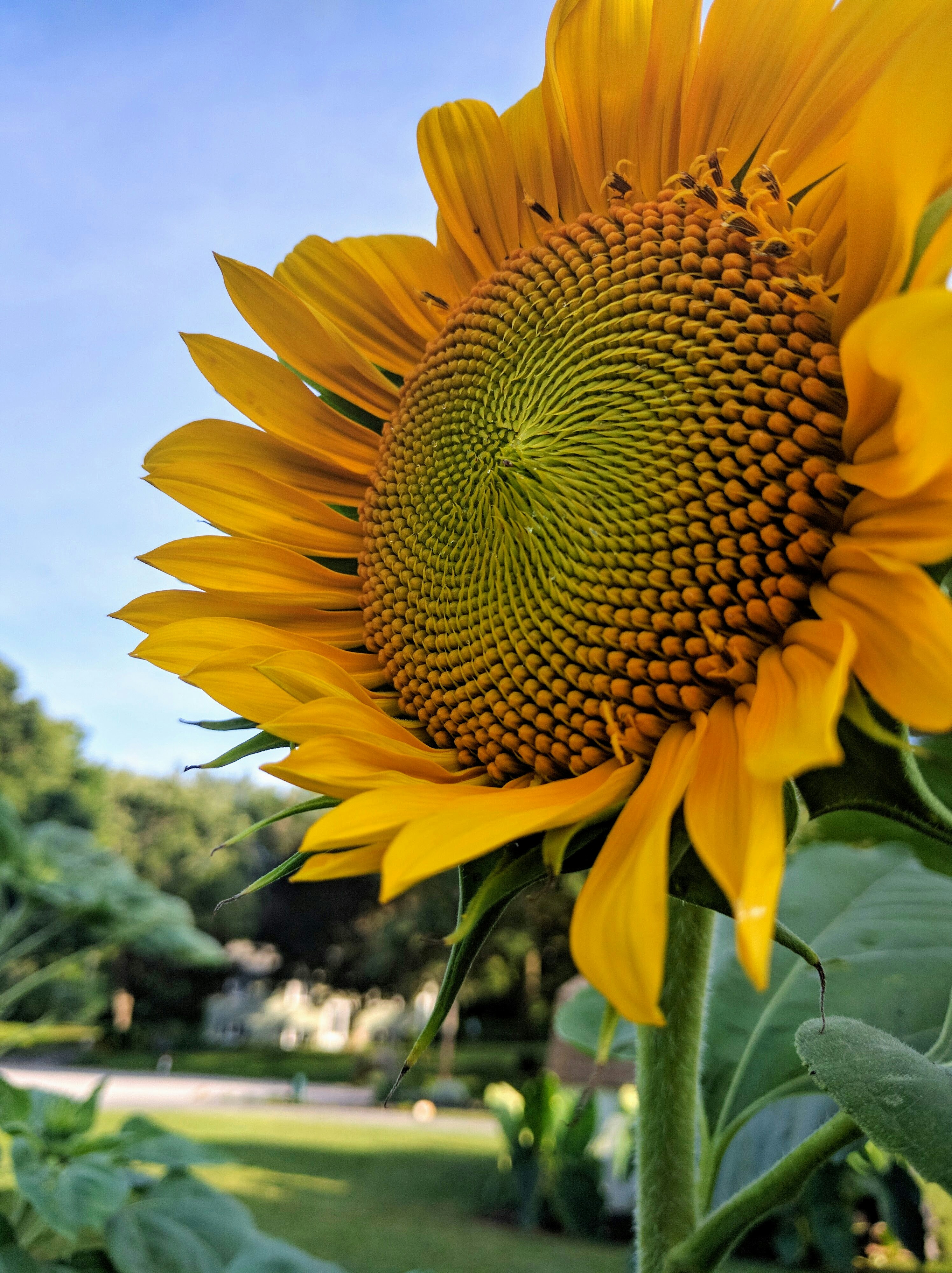 Free Unsplash photo from Peter Stevenson