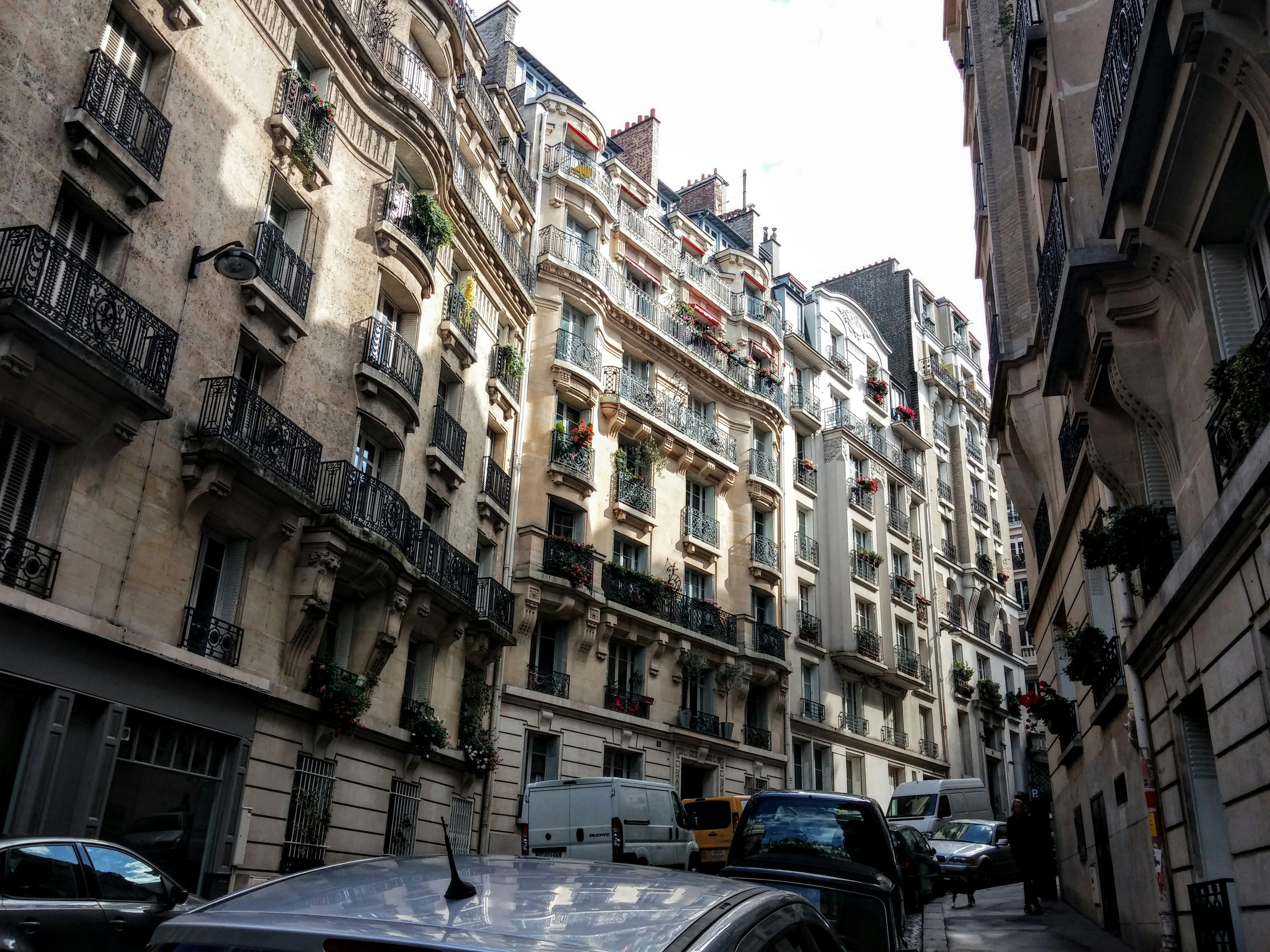 Free Unsplash photo from Peter Stevenson