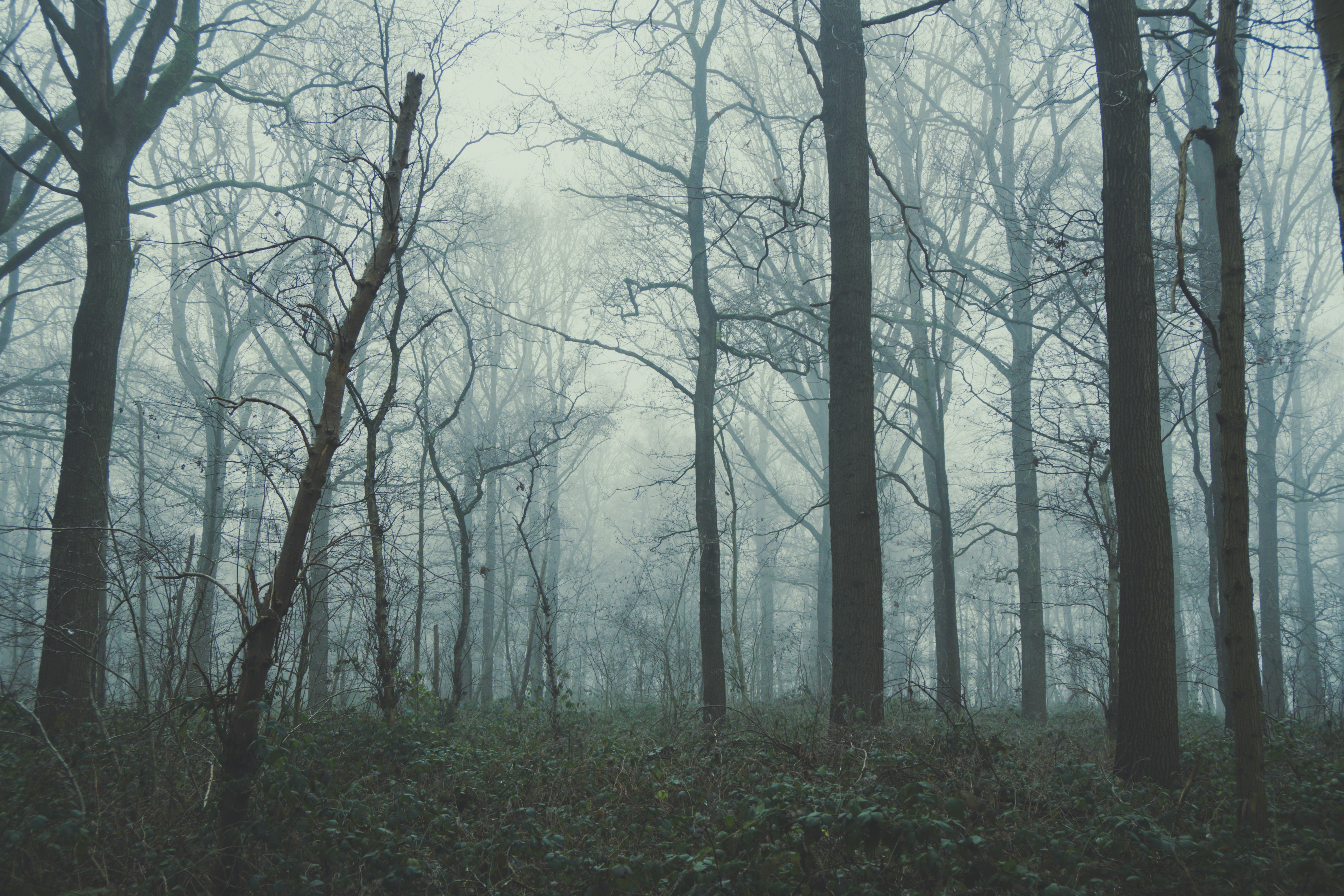 Free Unsplash photo from Thomas Claeys