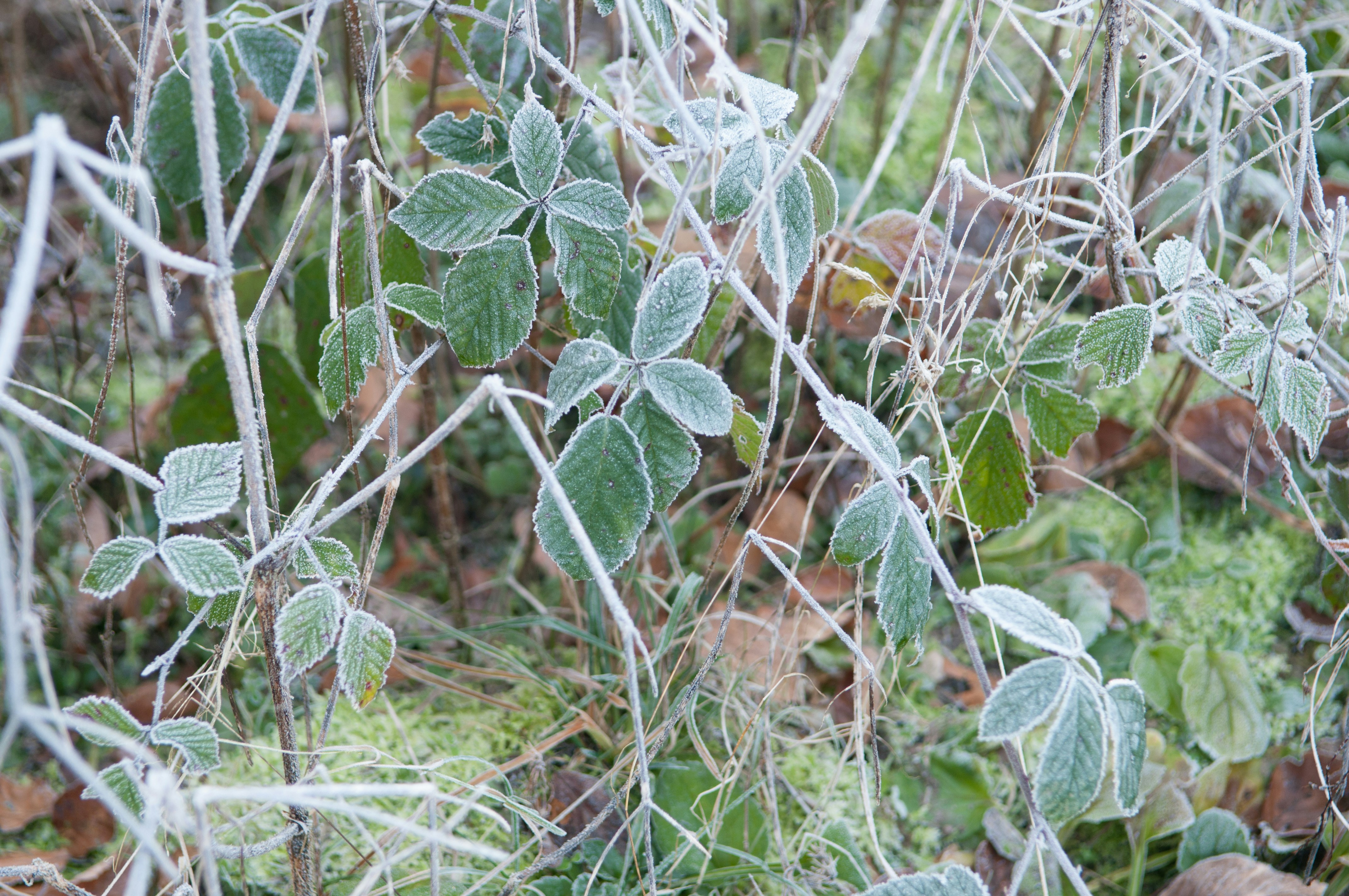 Free Unsplash photo from Monique Theuerkauf