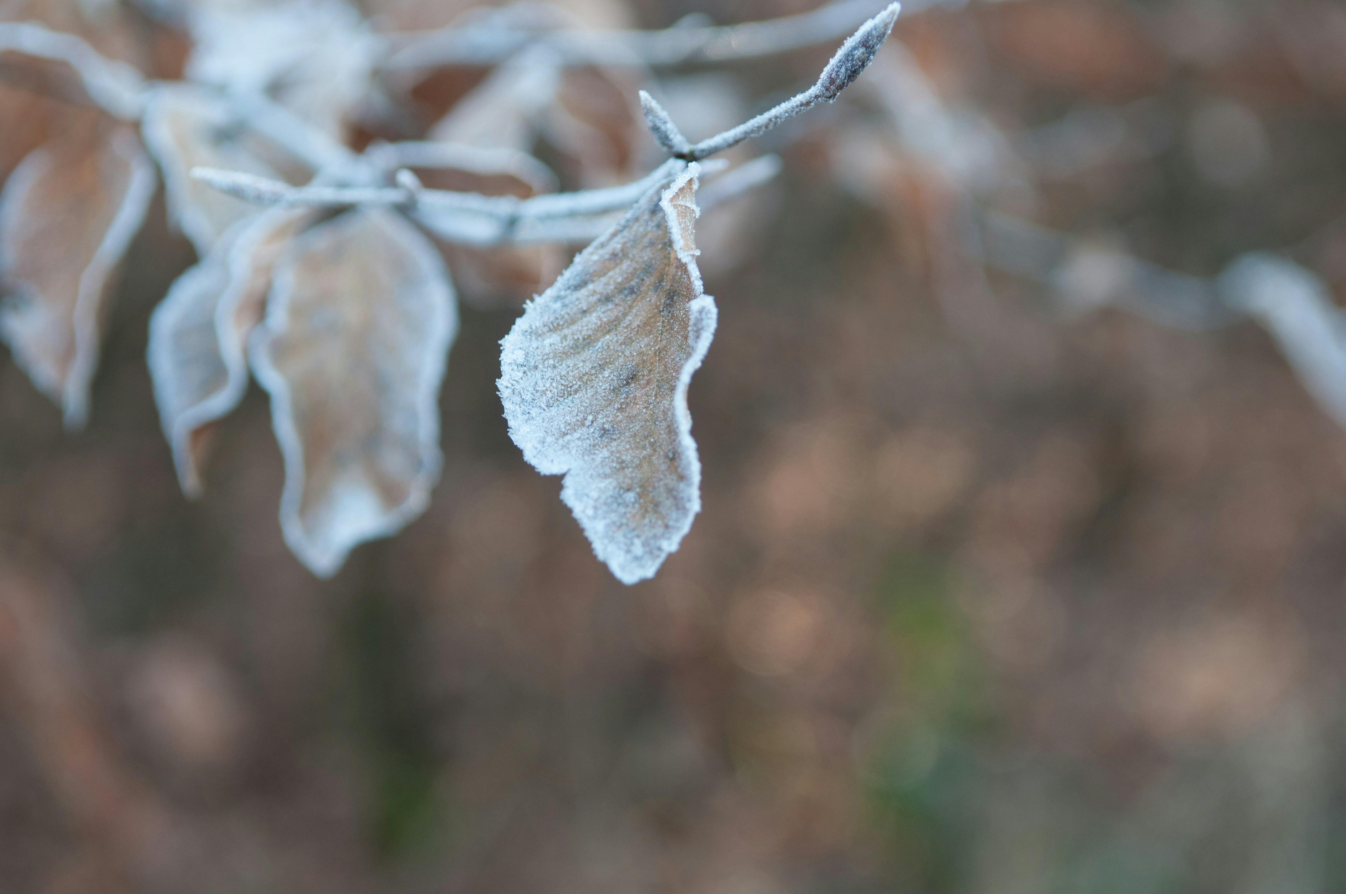 Free Unsplash photo from Monique Theuerkauf