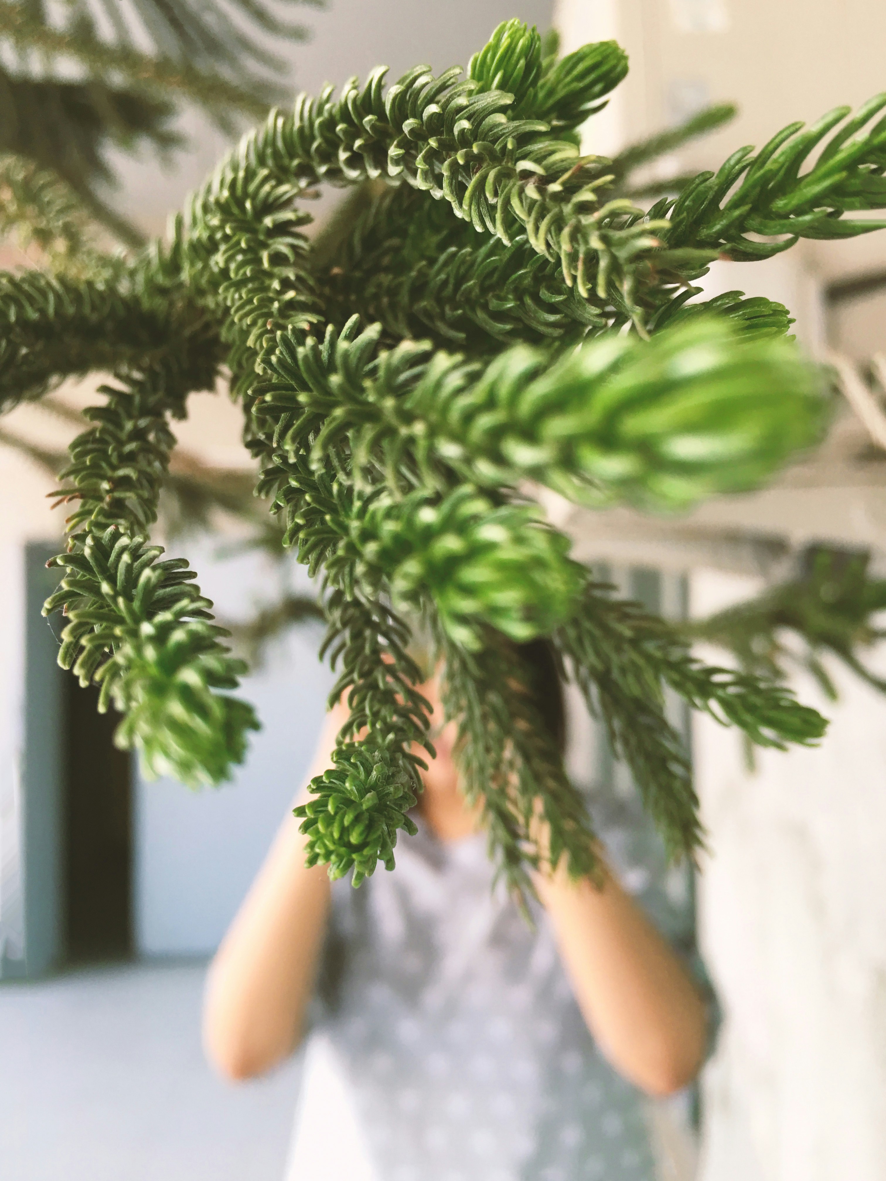 Free Unsplash photo from Shivam Tiwari