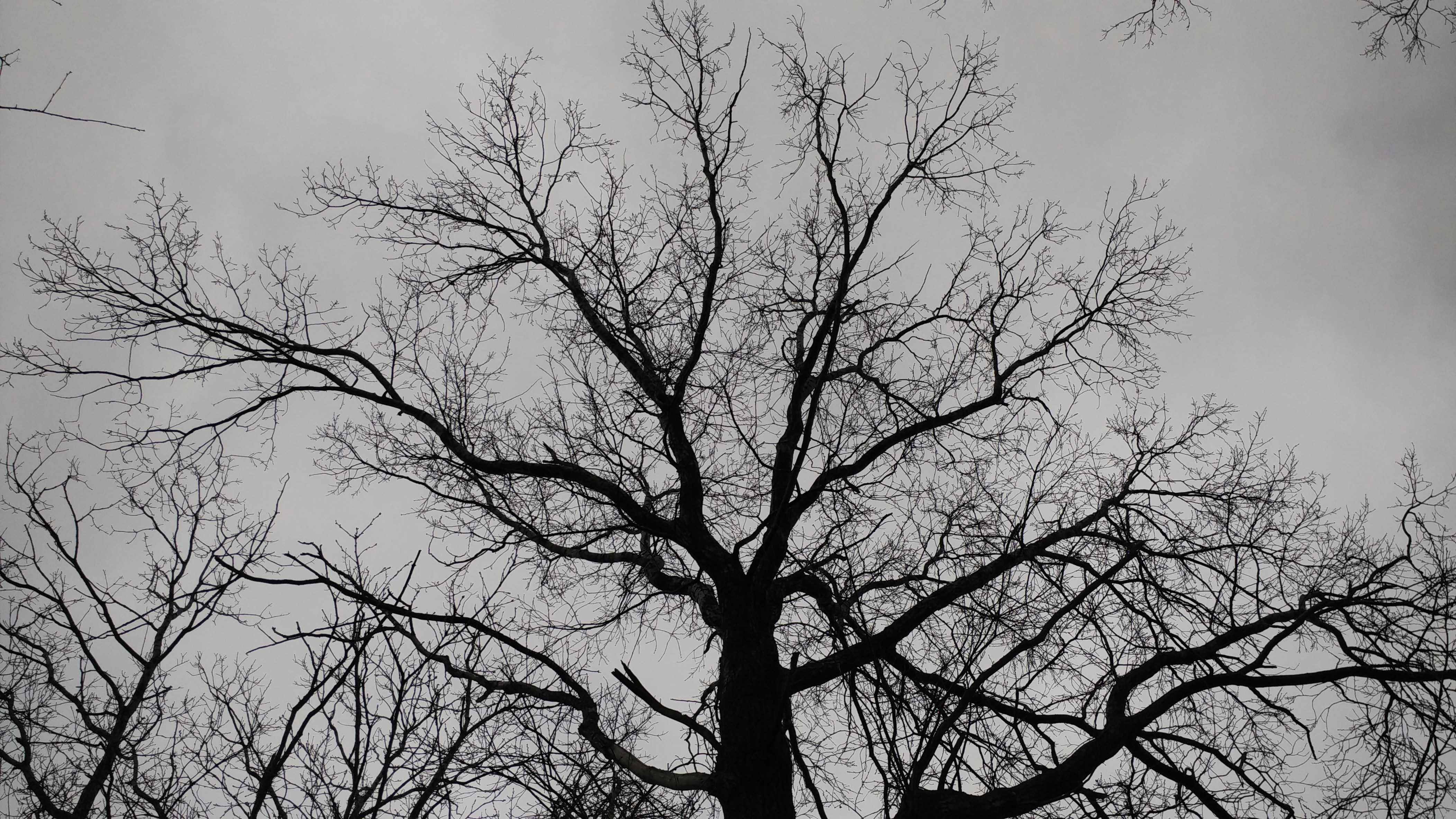 Free Unsplash photo from Stas Yeremenko