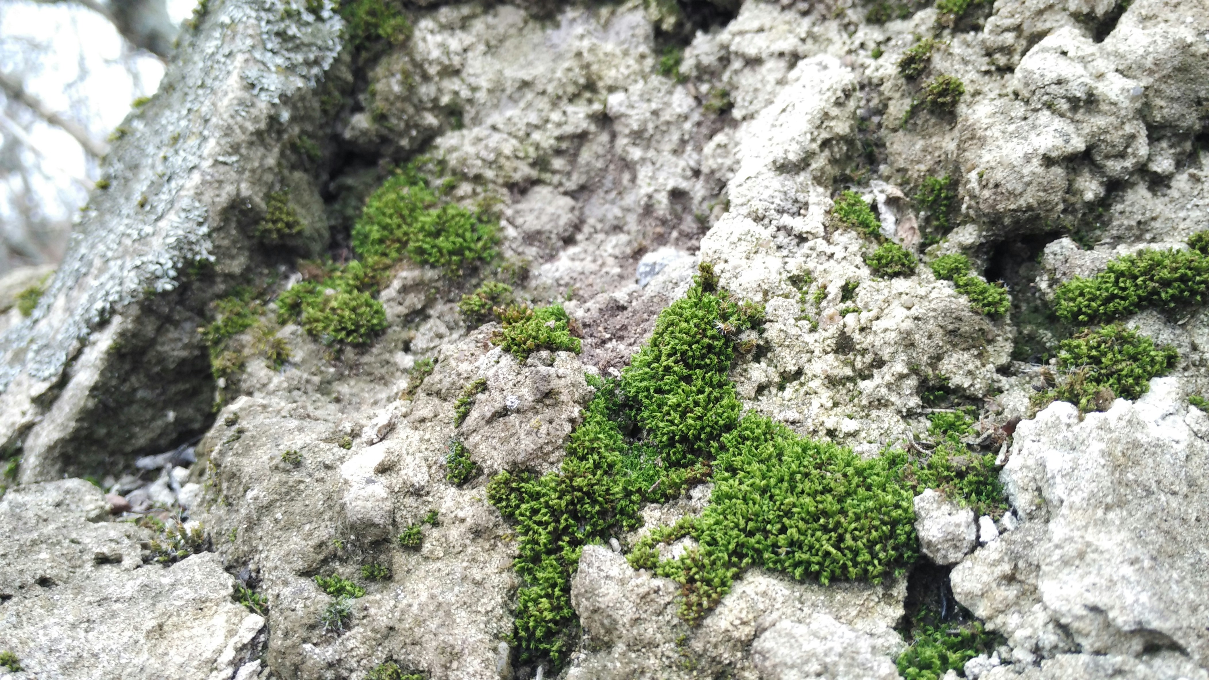 Free Unsplash photo from Stas Yeremenko