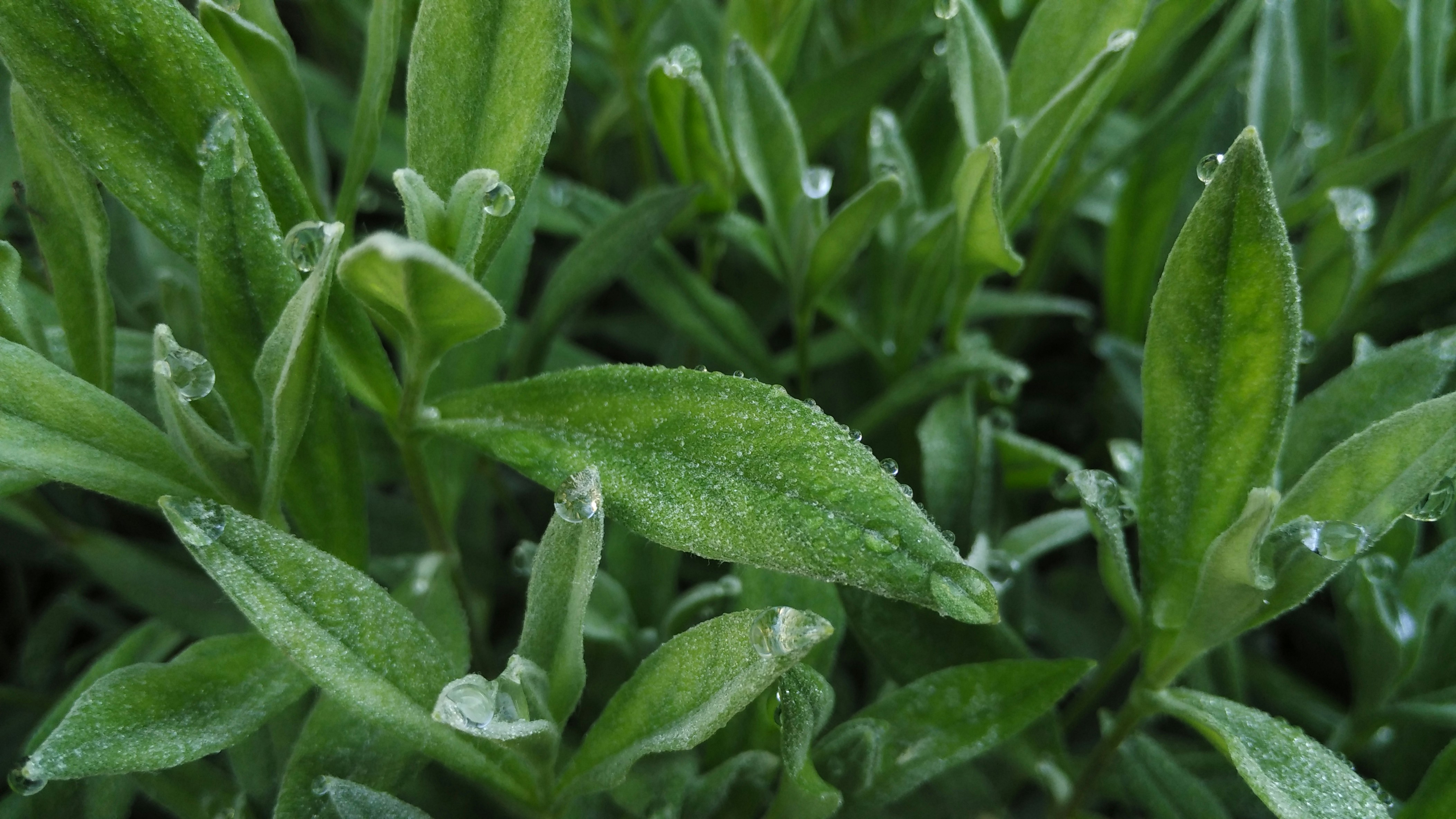 Free Unsplash photo from Stas Yeremenko