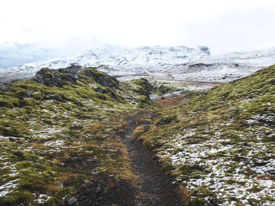 pathway between green grass hill towards snow capped mountain