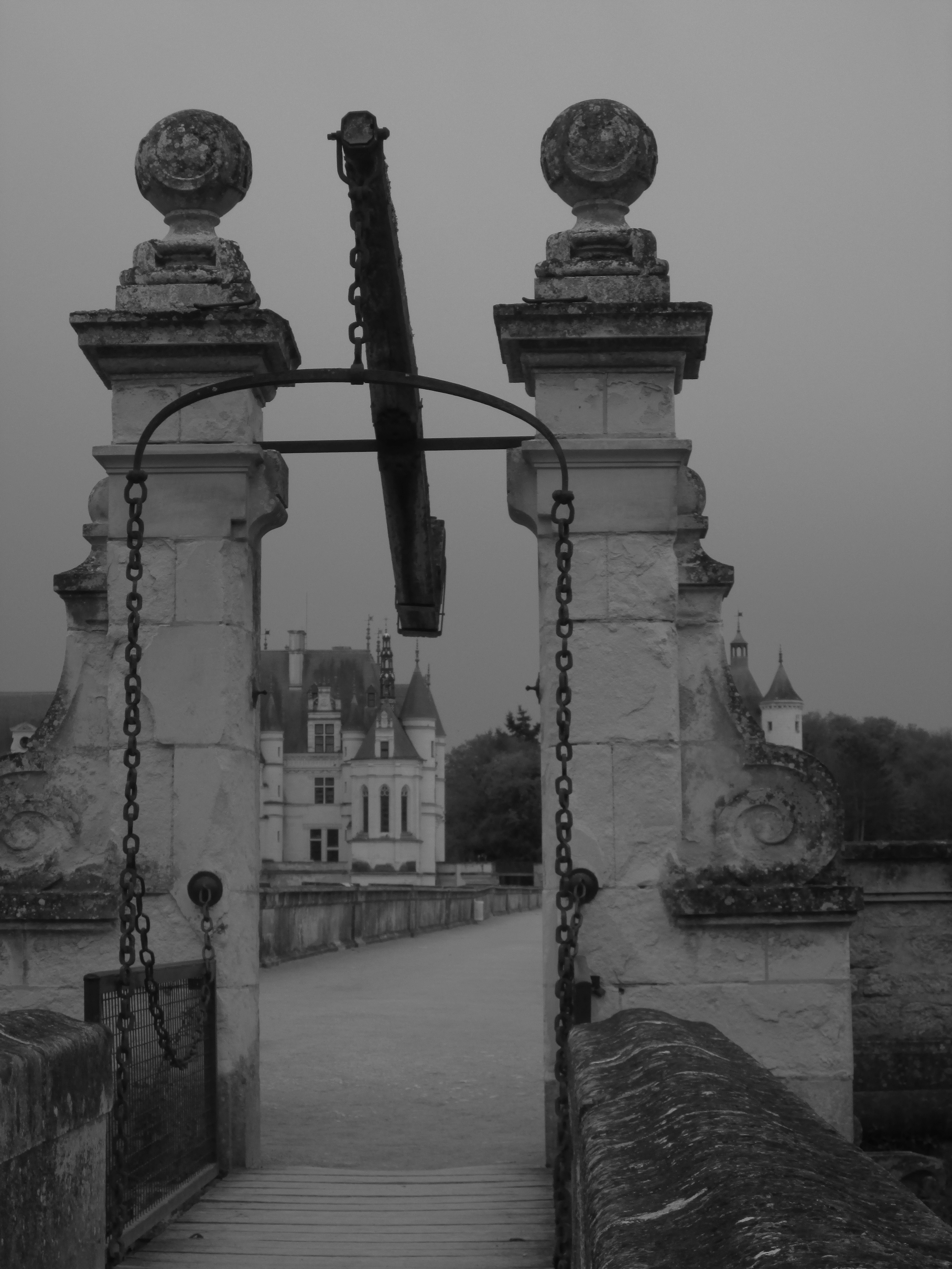 Free Unsplash photo from Estrella звезда́