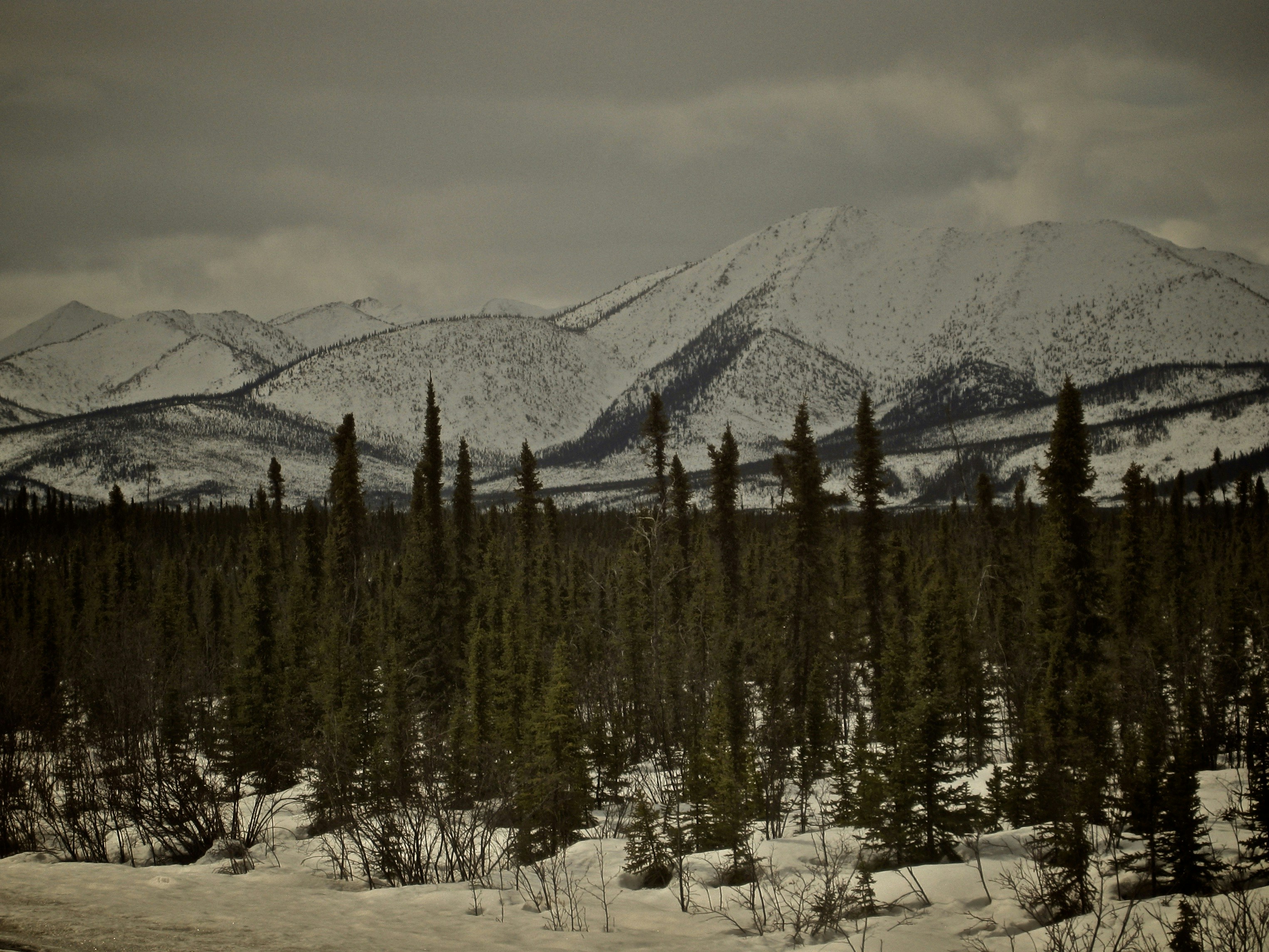 Free Unsplash photo from Greg Sellentin