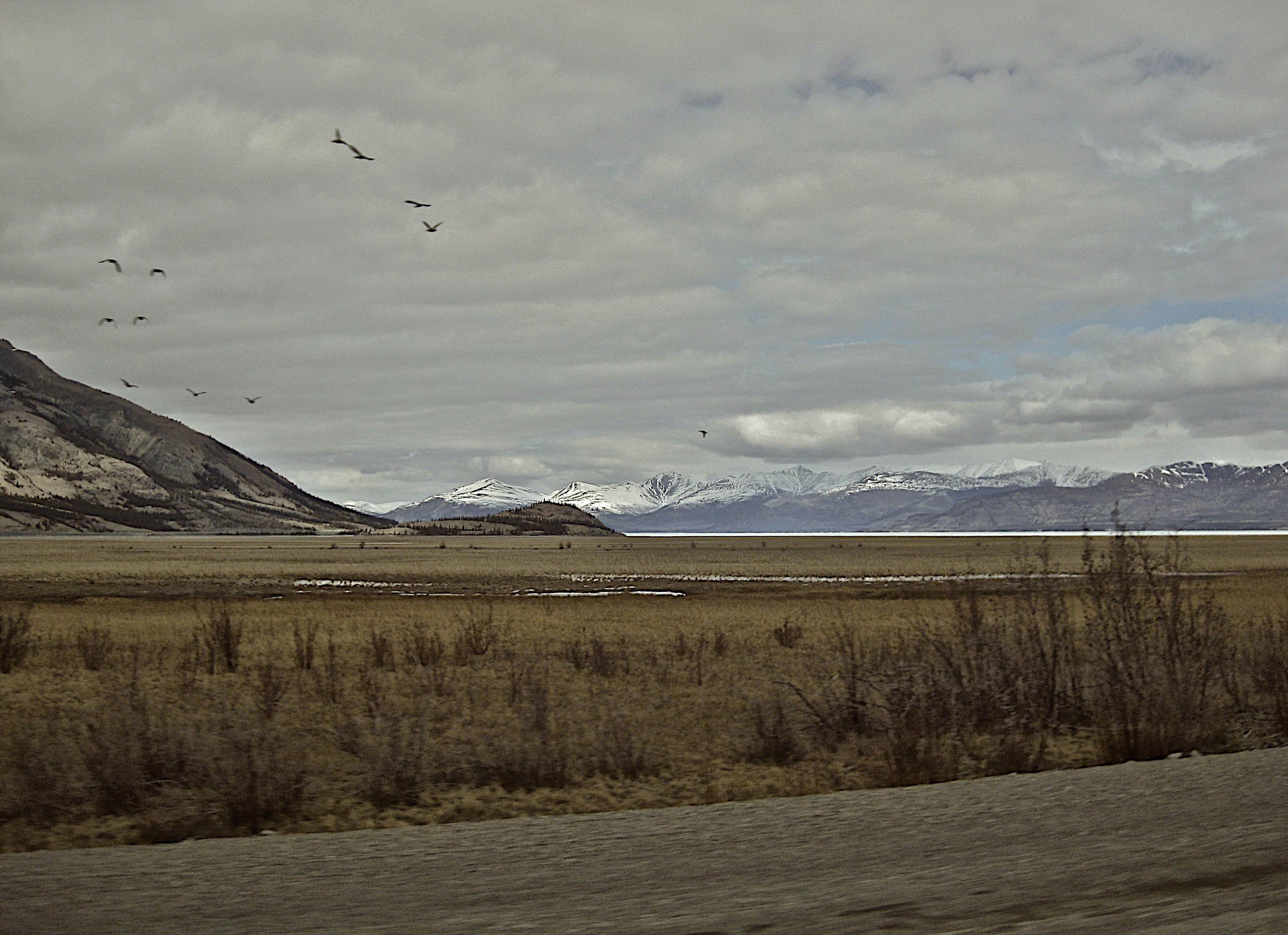 Free Unsplash photo from Greg Sellentin