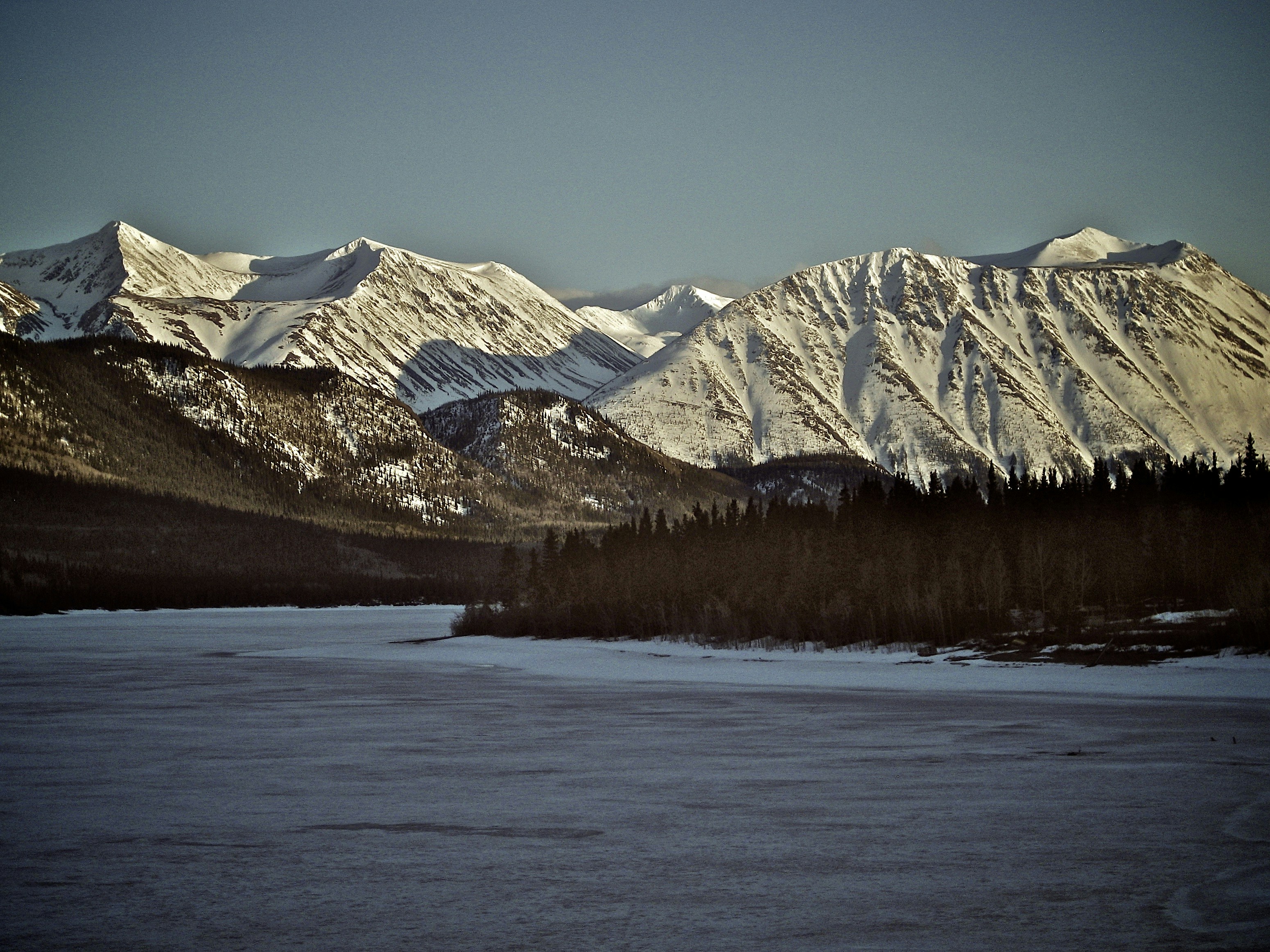 Free Unsplash photo from Greg Sellentin