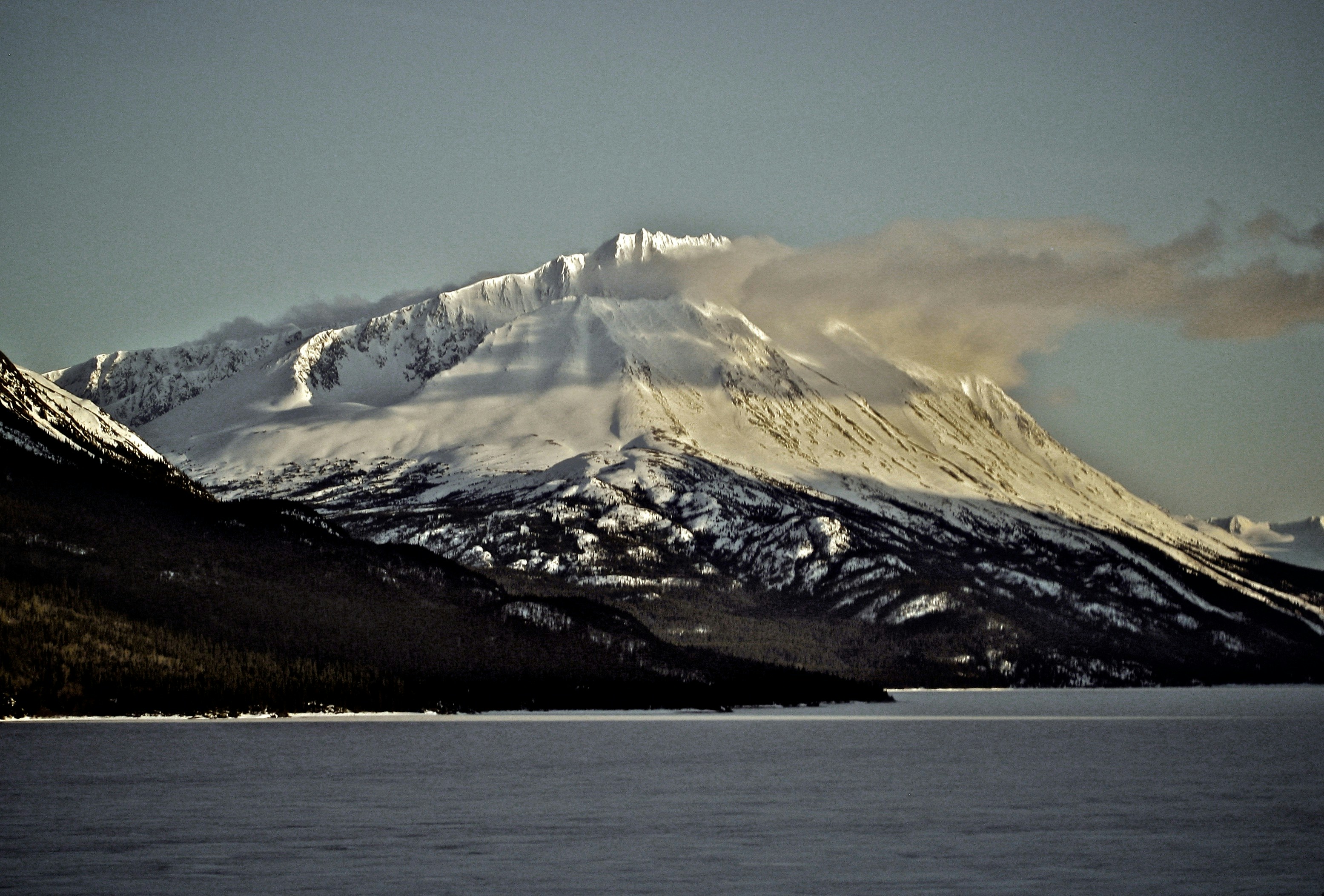 Free Unsplash photo from Greg Sellentin