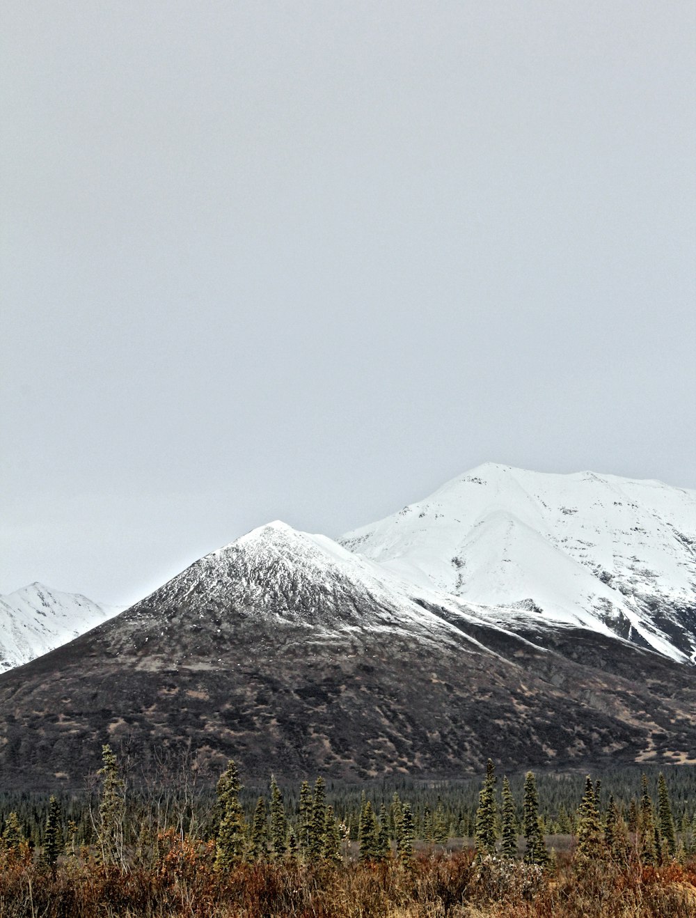 snow-covered mountains and green plants under sunny sky