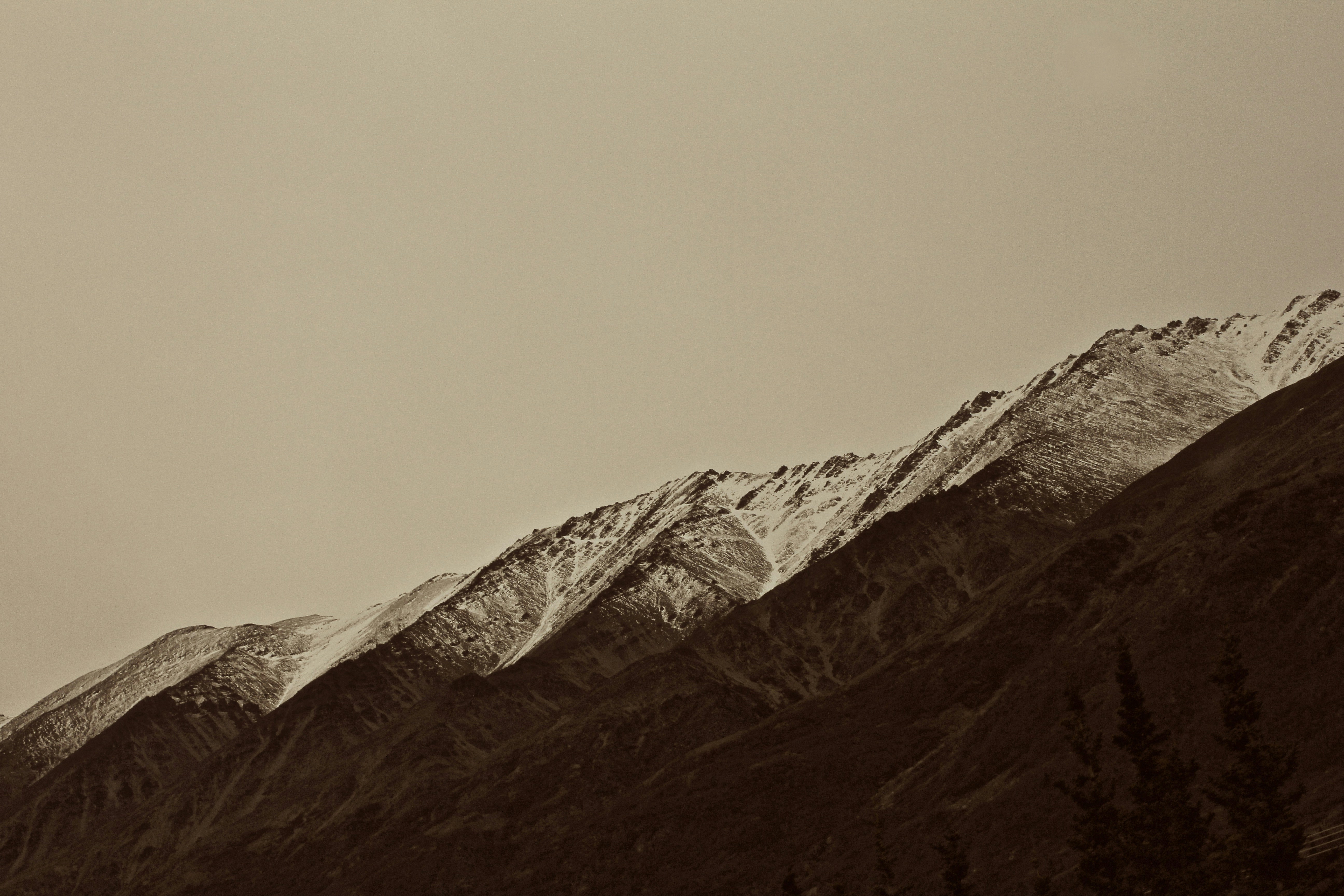 Free Unsplash photo from Greg Sellentin