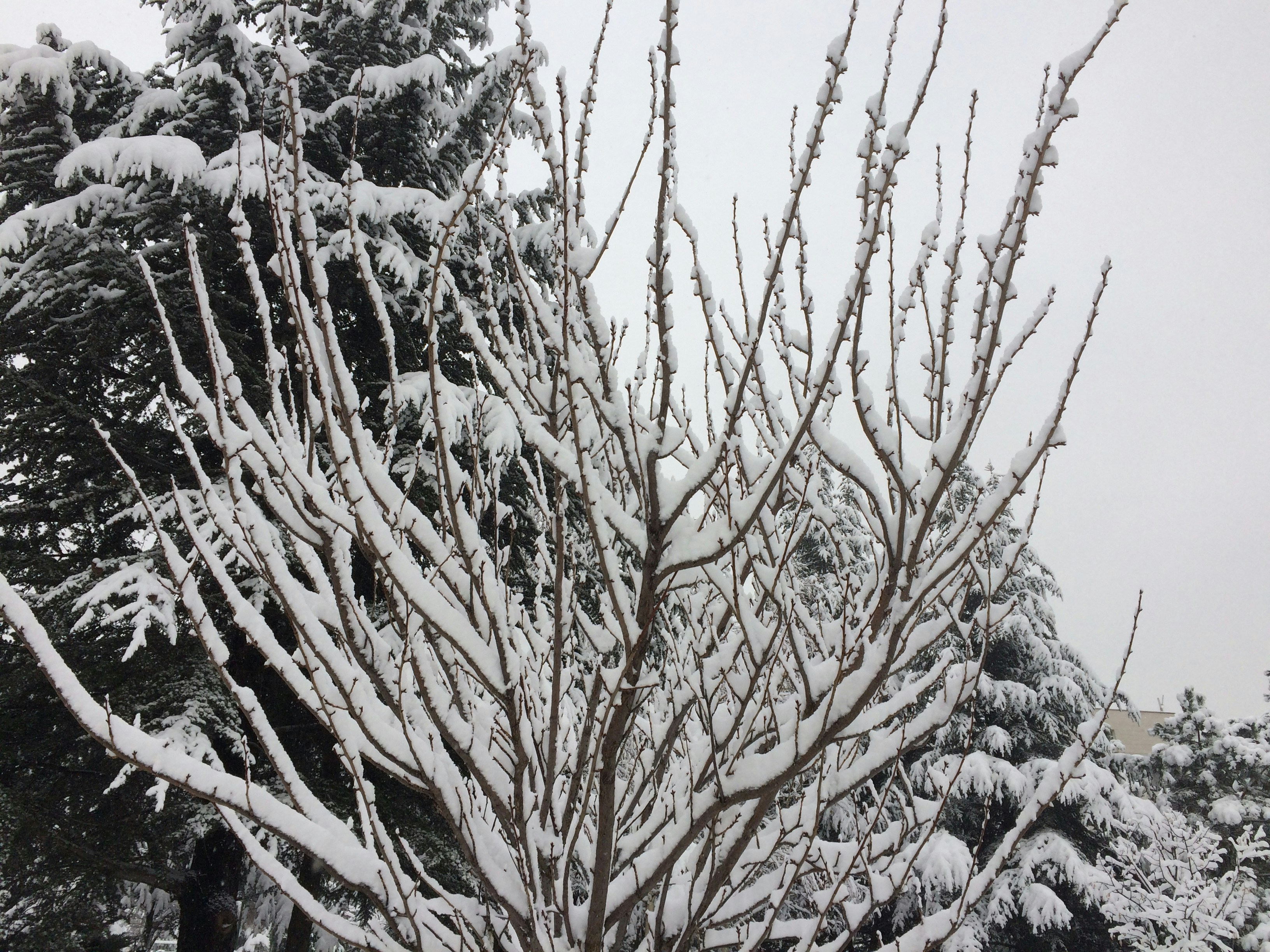 Free Unsplash photo from Yusuf Ortaç