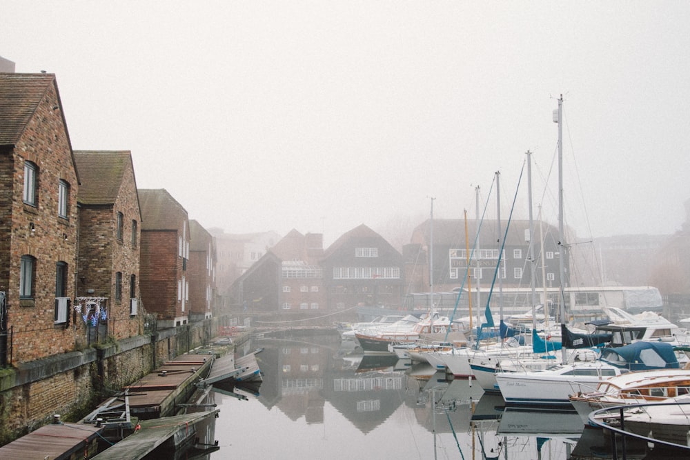 boats on harbour surrounded by fogs during daytime