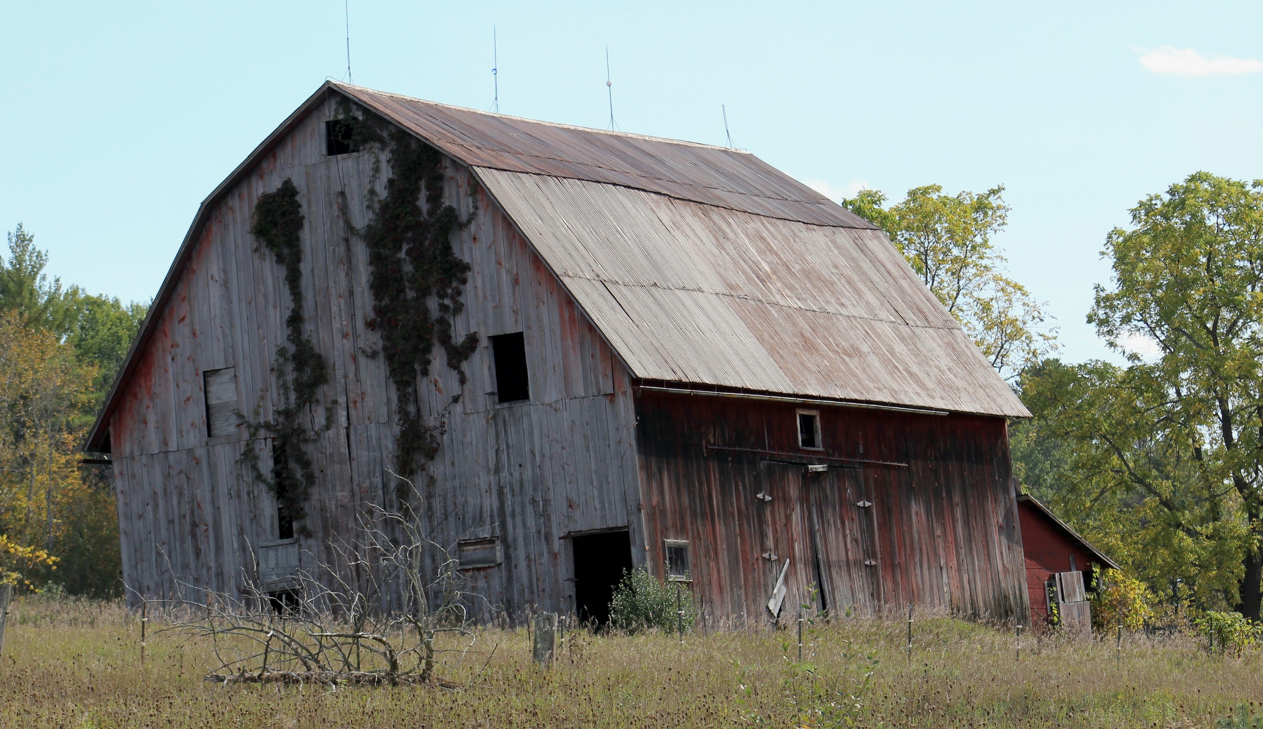 Free Unsplash photo from Troy Patterson
